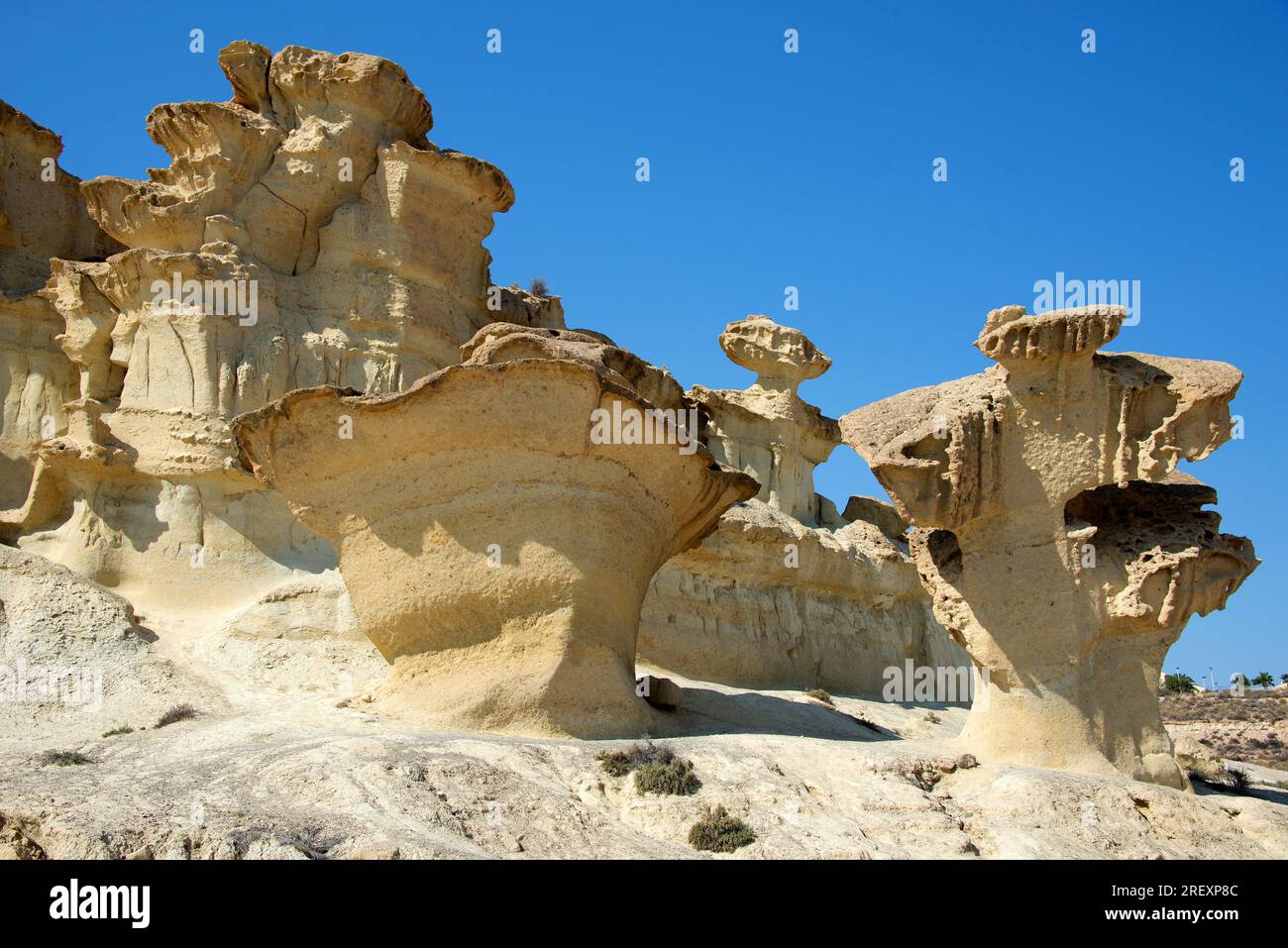 Mushroom rock or pedestal rock. Mushroom rocks are formed by erosion or