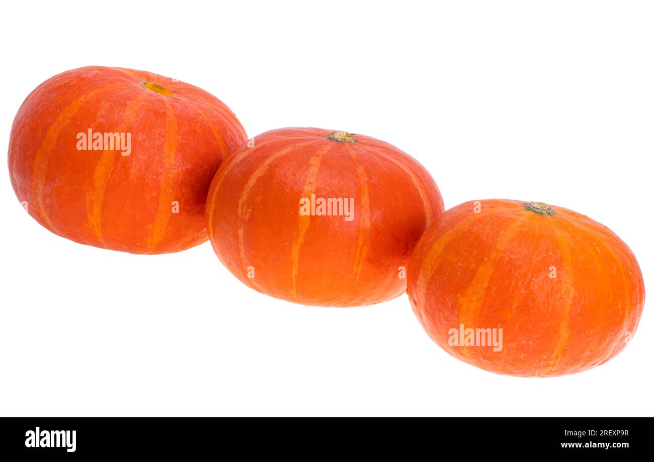 Pumpkins for Halloween Day isolated on white background Stock Photo - Alamy