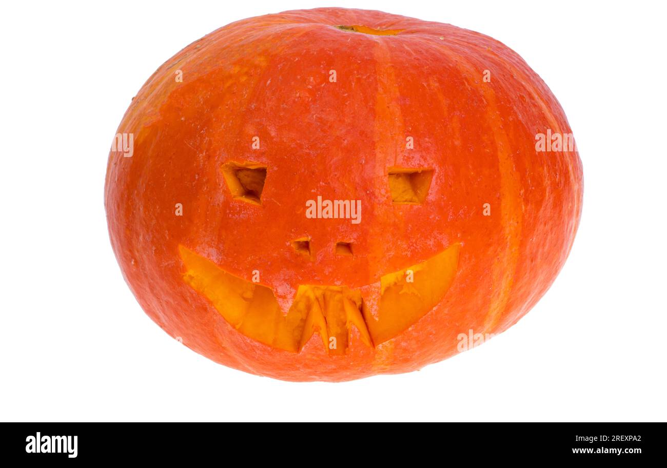 Pumpkins for Halloween Day isolated on white background Stock Photo - Alamy