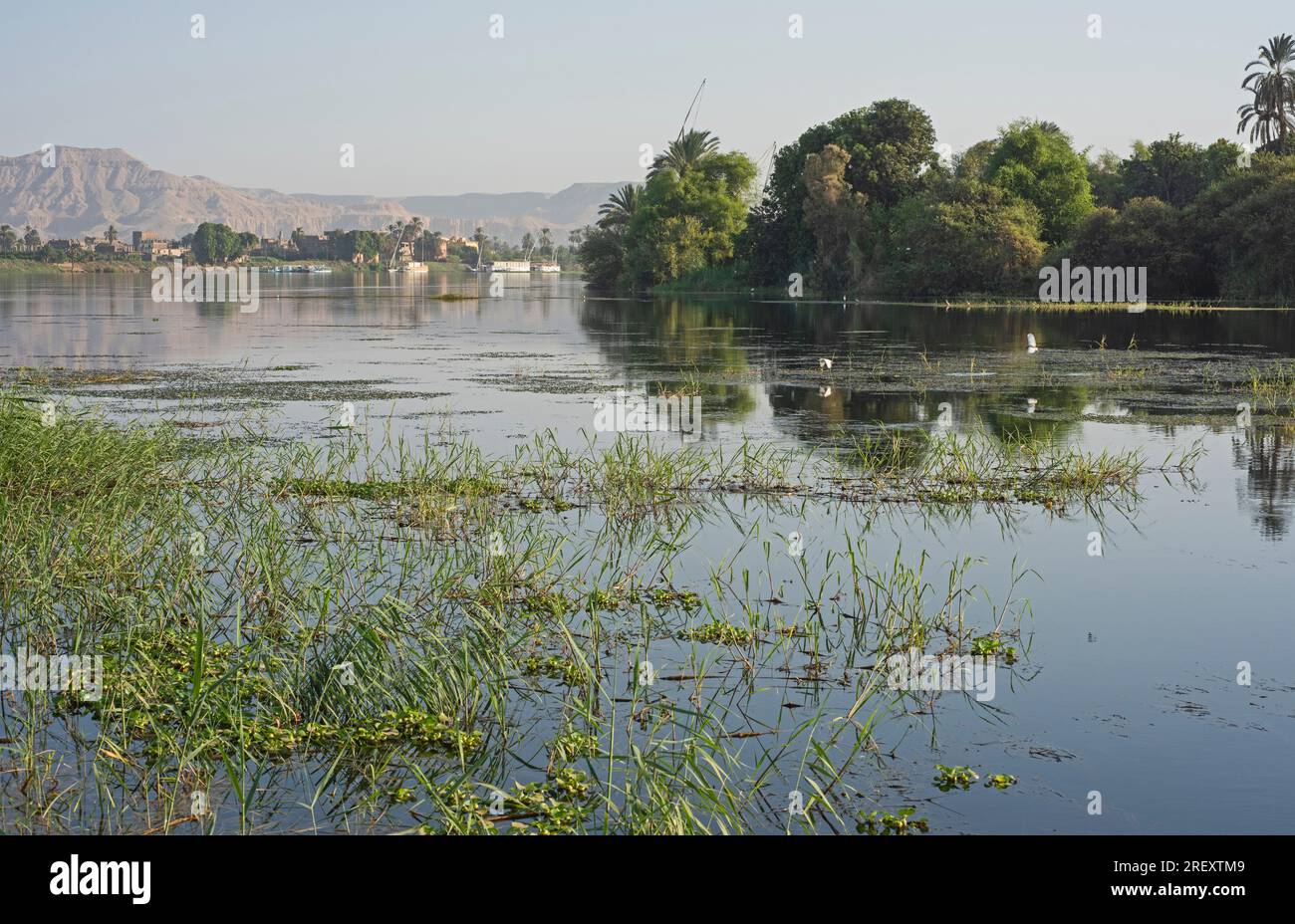 River bank grass hi-res stock photography and images - Alamy