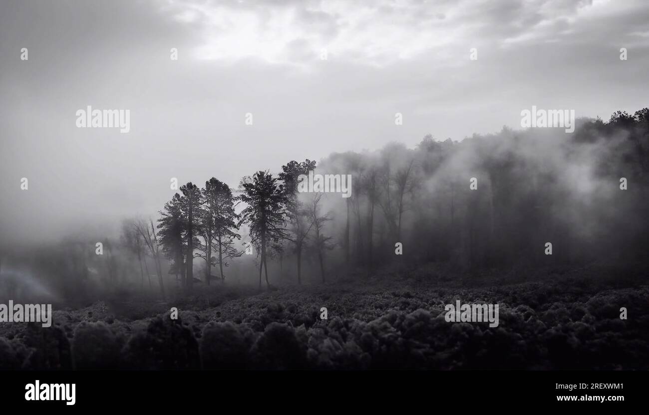 Great sunrays at the sunrise. Images used in the design, advertising