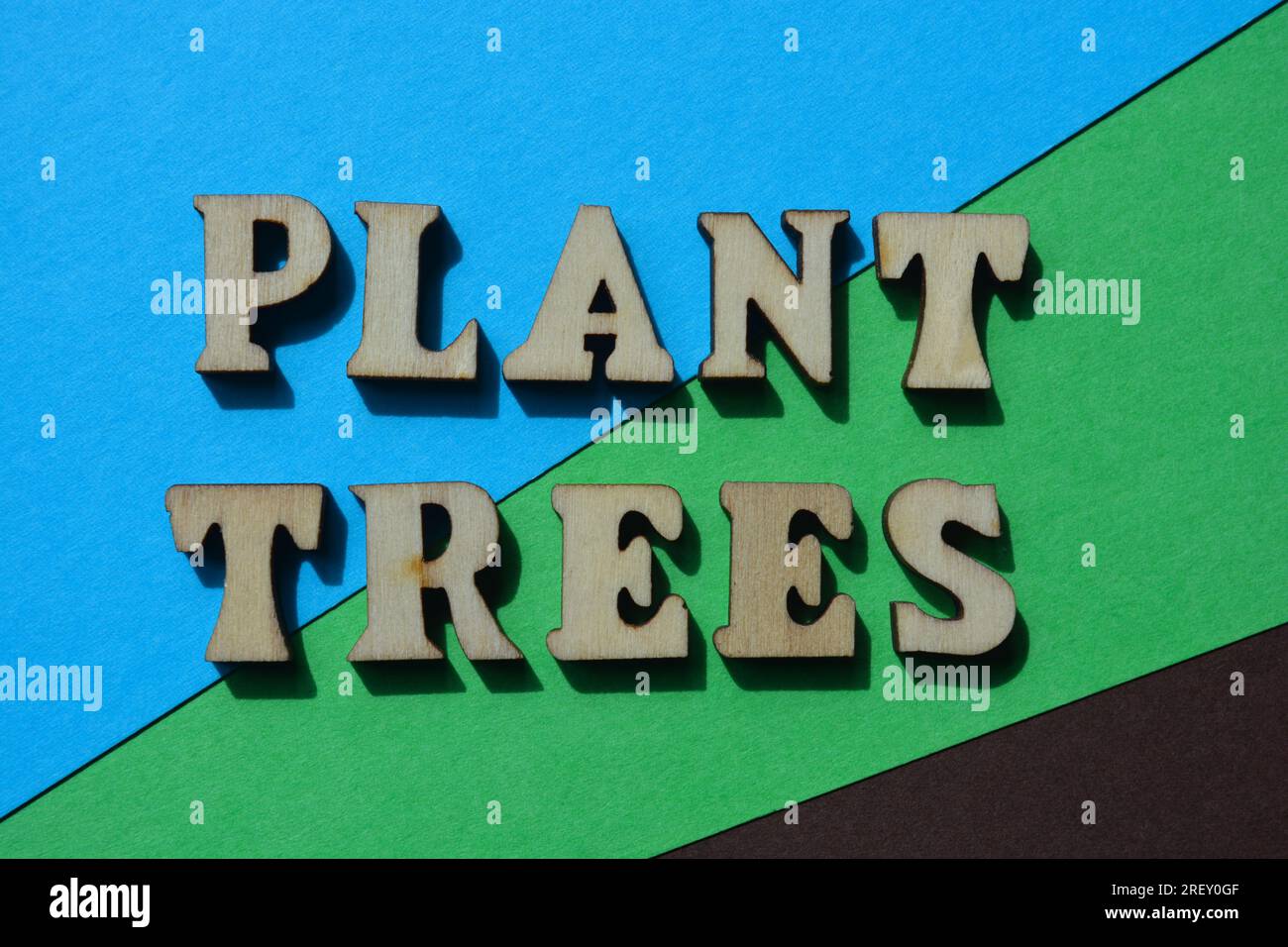 Plant Trees, words in wooden alphabet letters isolated on blue, green