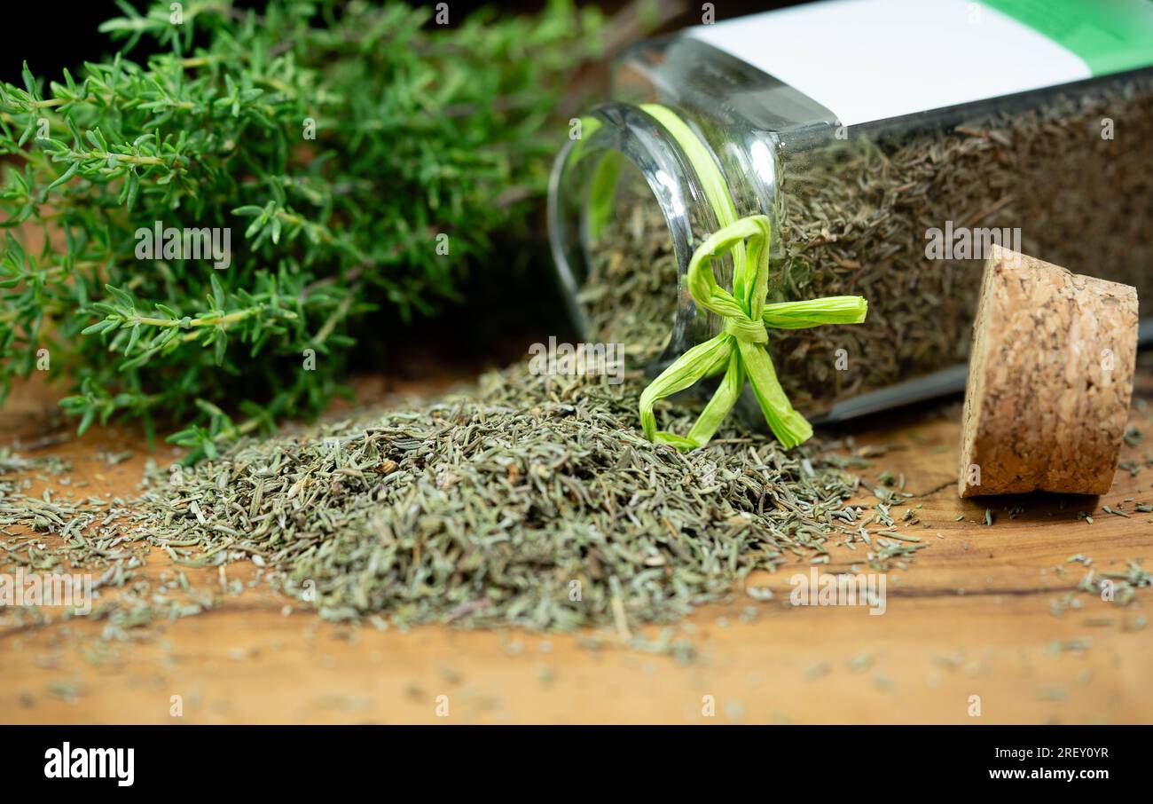 dried and fresh Thymus vulgaris delicious kitchen herbs Stock Photo Alamy