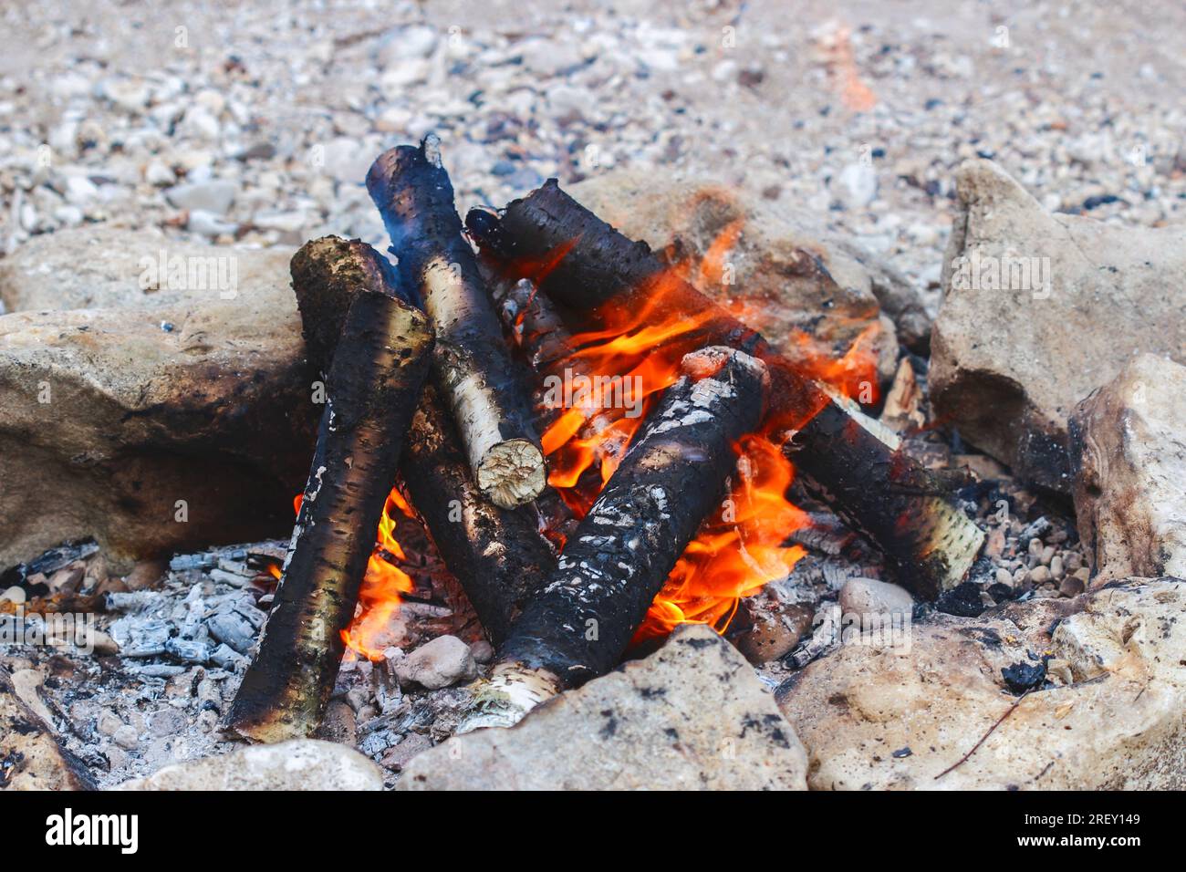 Birch logs burning in a fire Stock Photo Alamy