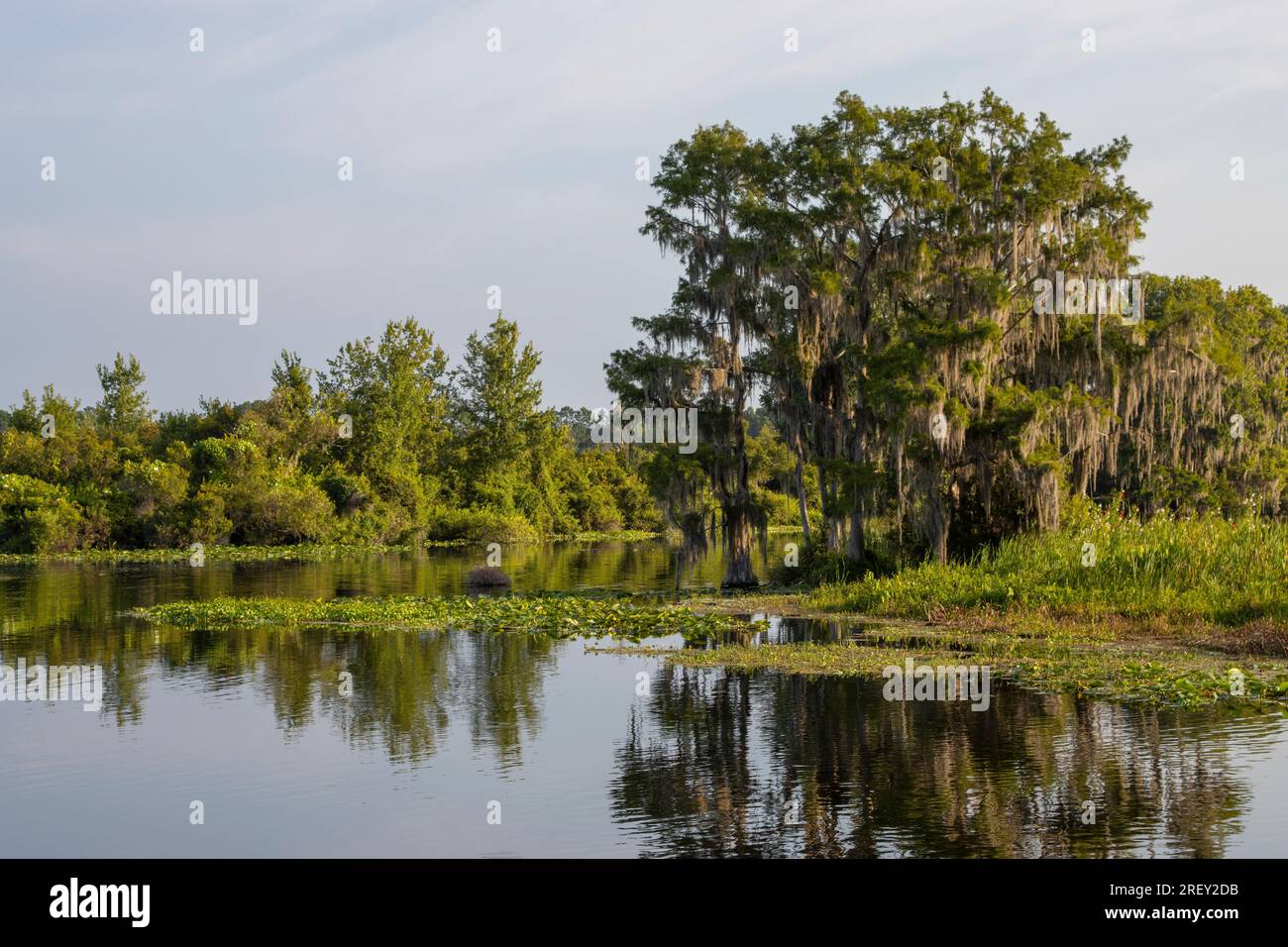 Lake Rousseau at Dunnellon, Florida Stock Photo