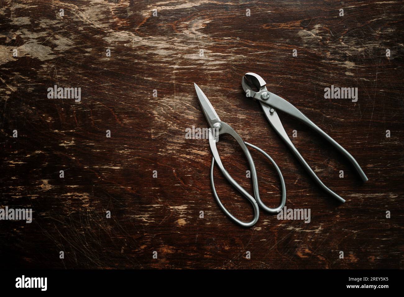 Bonsai tools top view. Bonsai shears and concave cutter in stainless