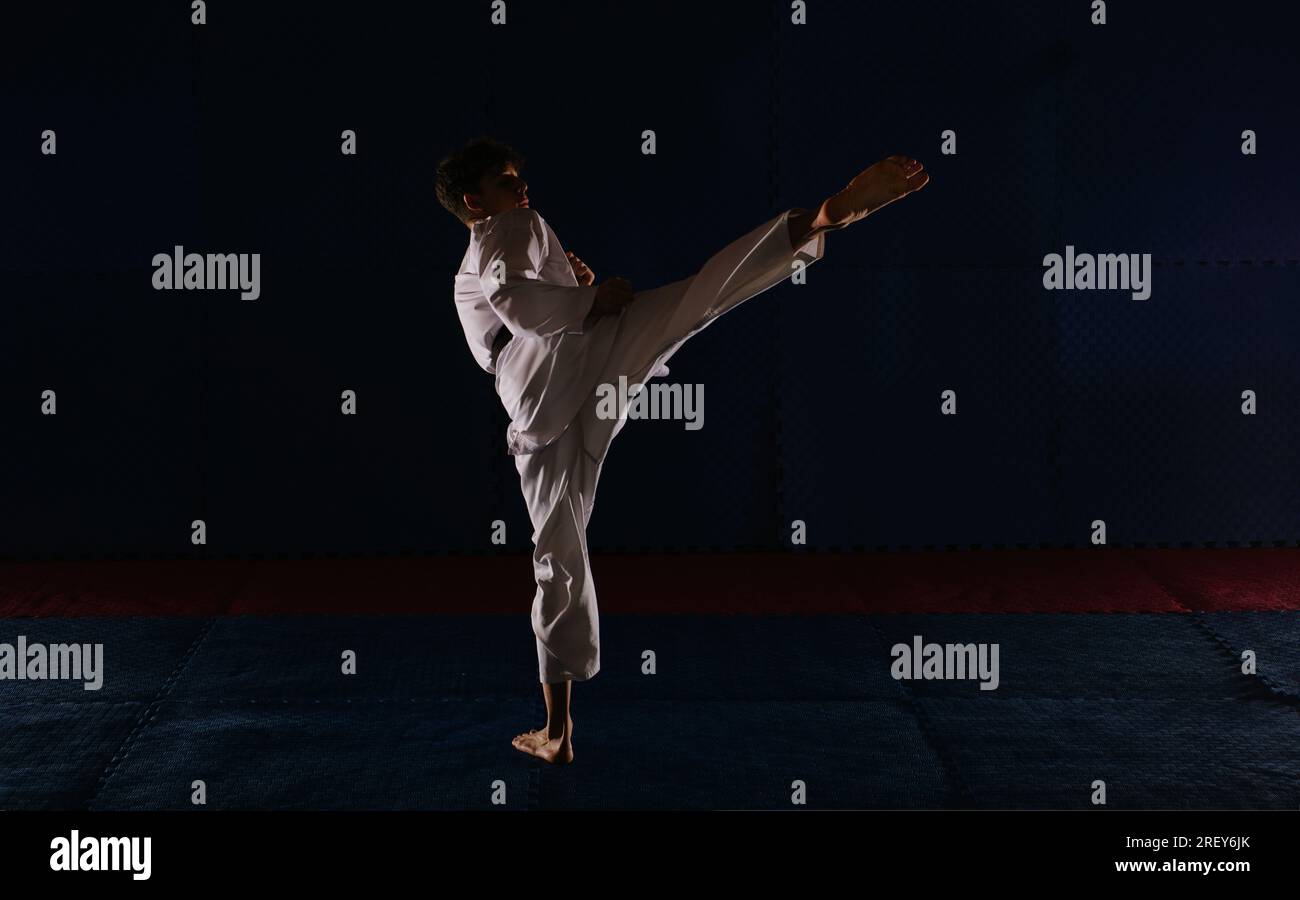 Silhouette of a young karatist doing the Ushiro Geri pose at the karate ...