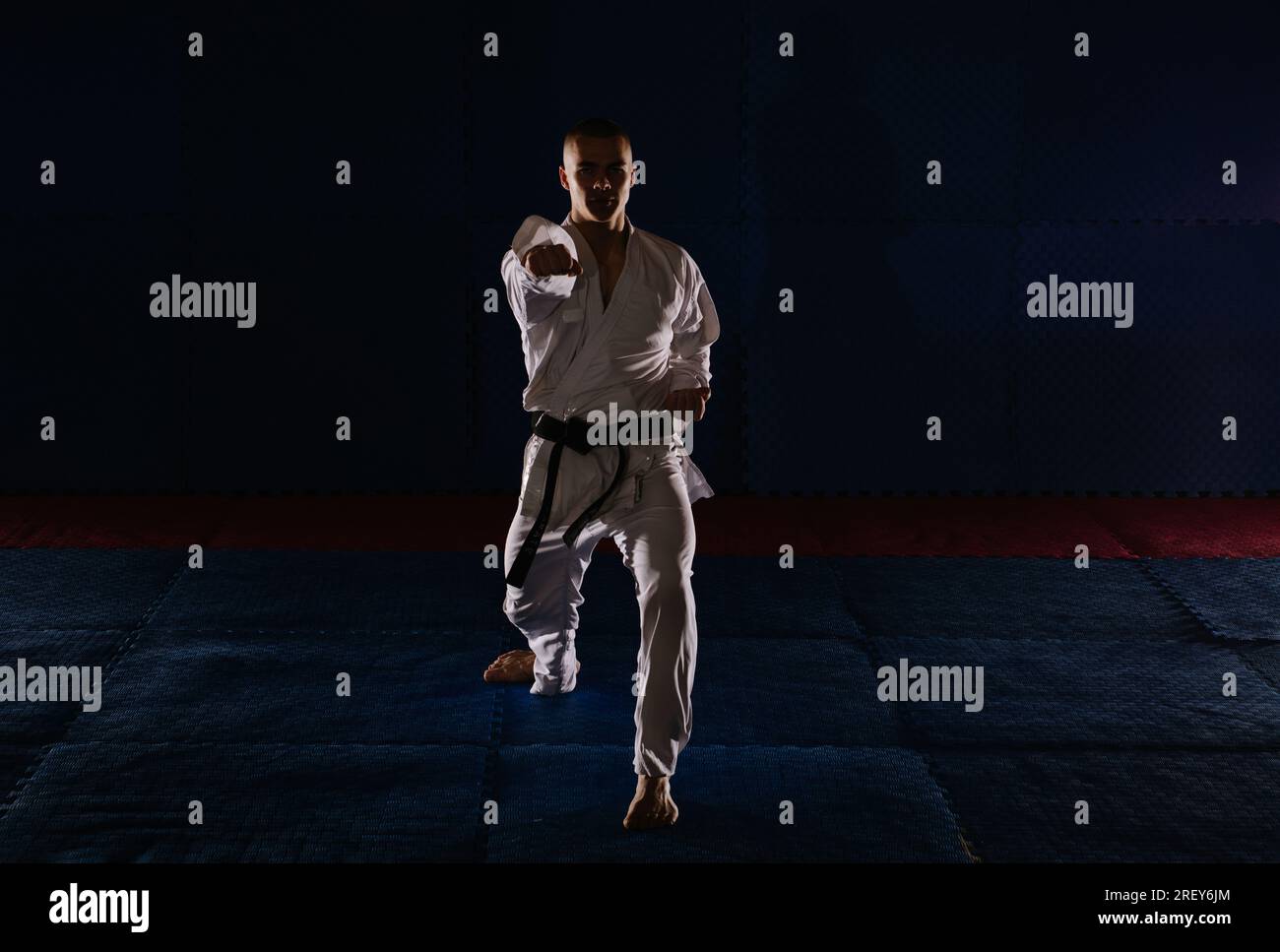 Silhouette of a young karatist doing the Uchi Uke pose at the karate
