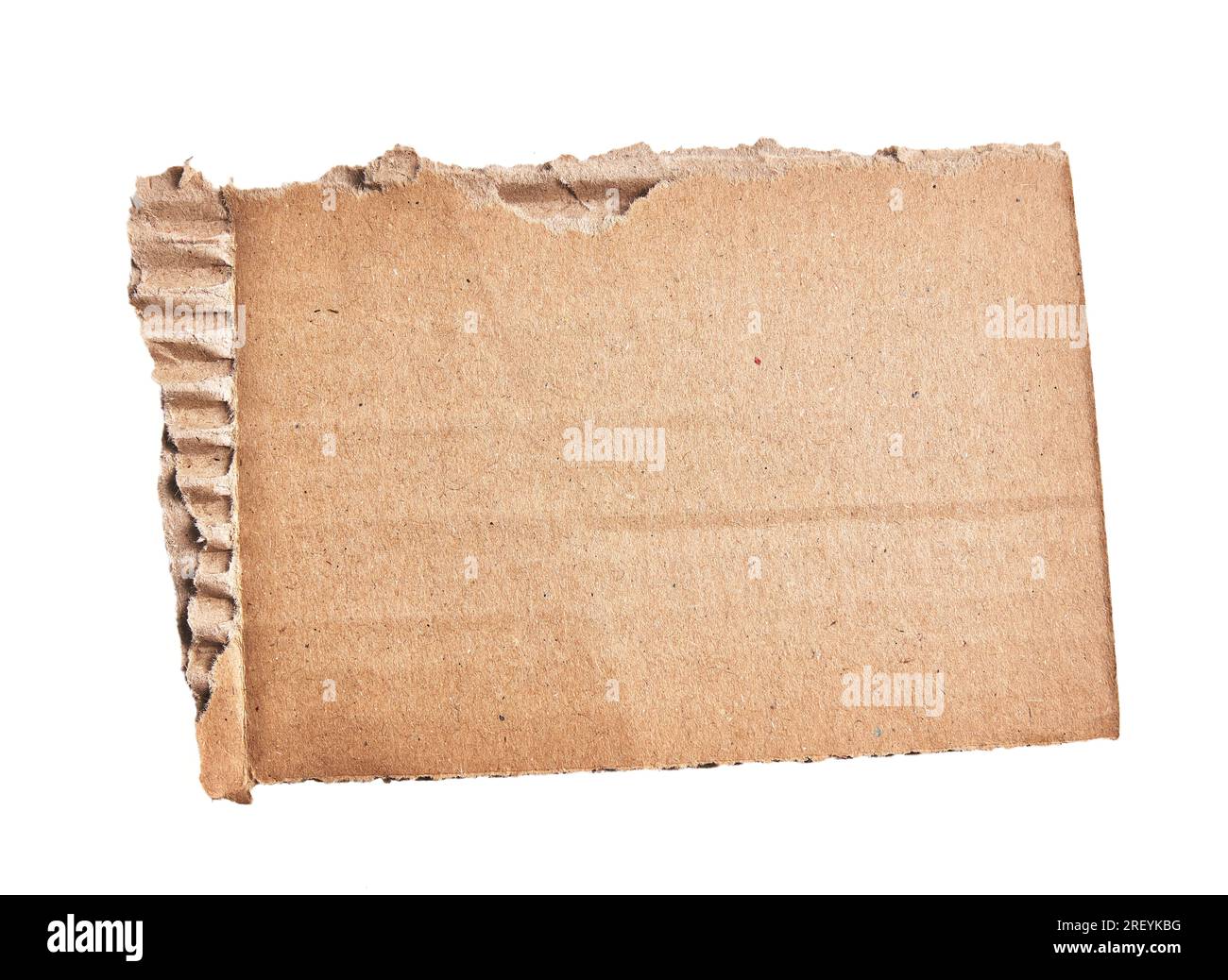 One ripped piece of cardboard material over isolated white background ...
