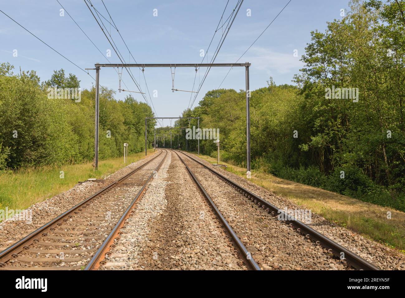 perspective of railway tracks and wires in the country through green trees summer sunny day Stock Photo