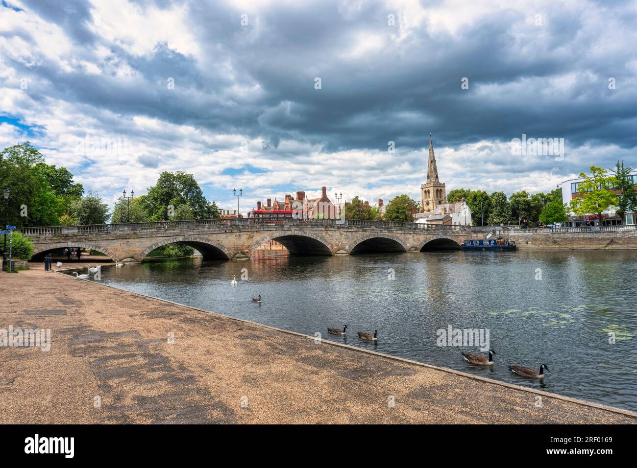 UK, Bedford, 5 July 2023, editorial, view of the city, from riverside over the bridge, Egyptian goose and swan in the foreground Stock Photo