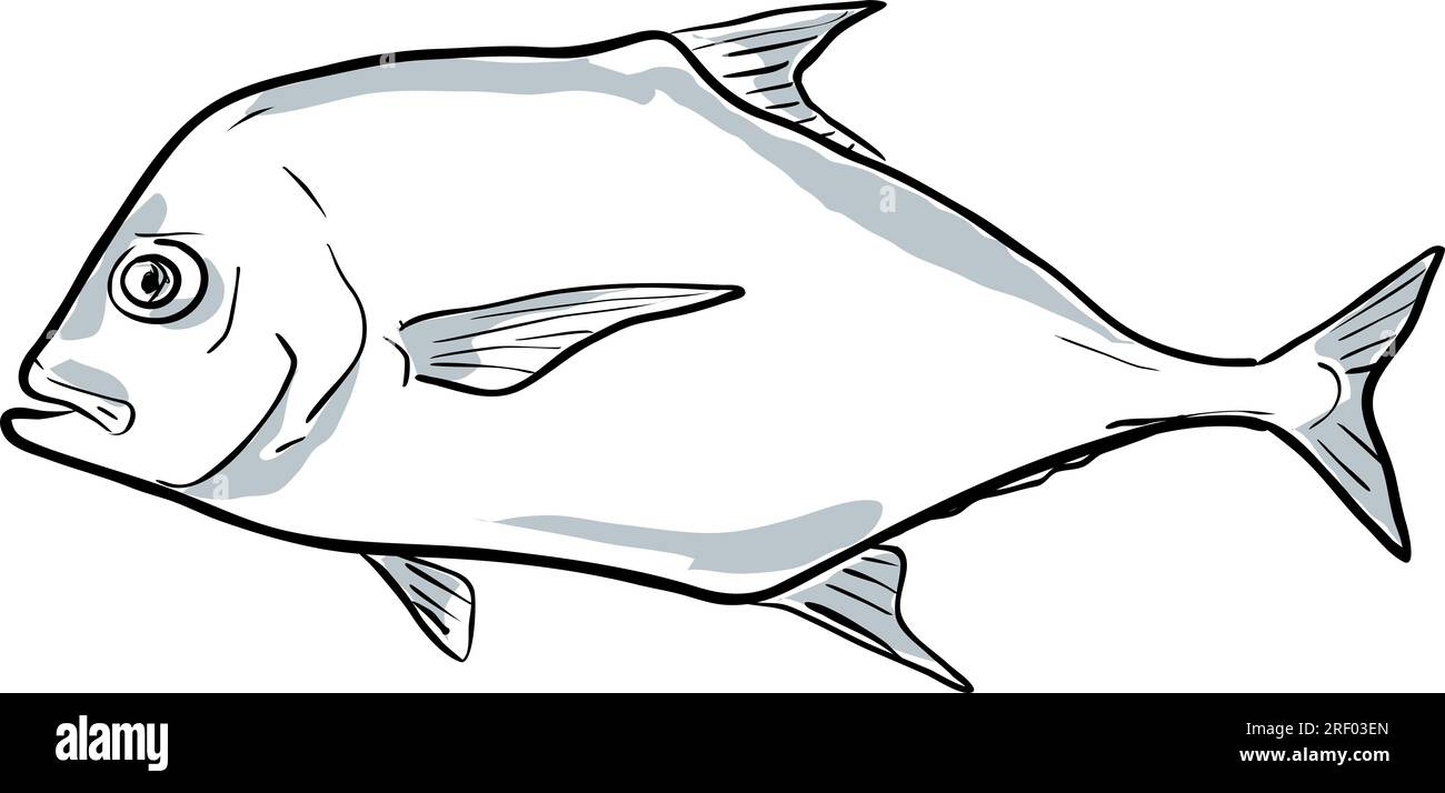 Cartoon style drawing sketch illustration of an African pompano or Alectis ciliaris, pennant-fish or threadfin trevally fish of the Gulf of Mexico on Stock Photo