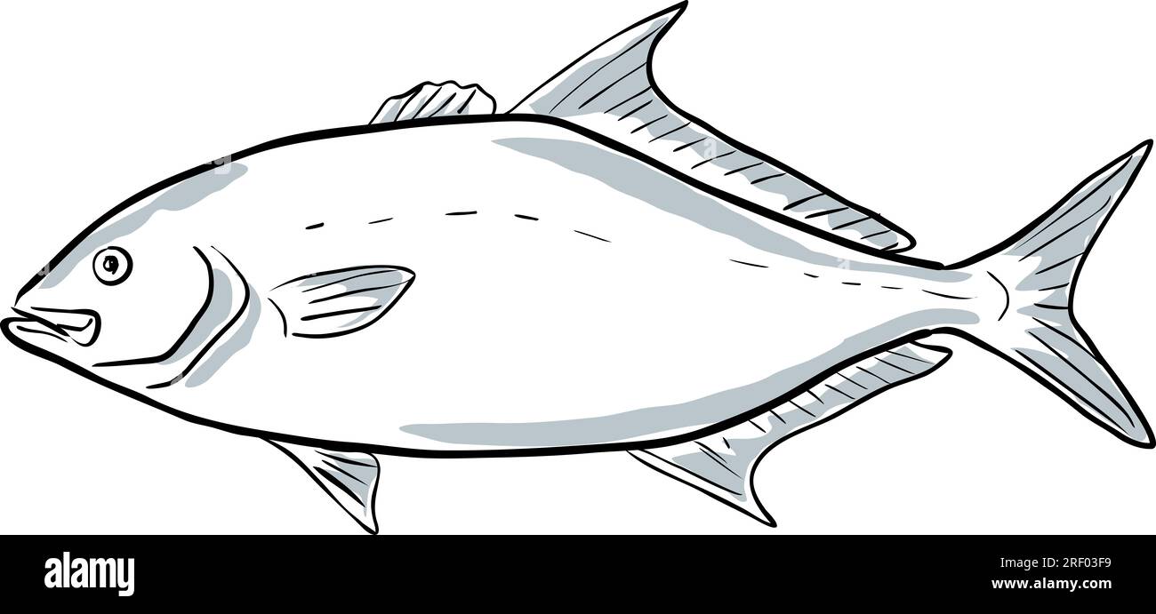 Cartoon style drawing sketch illustration of a longfin yellowtail or