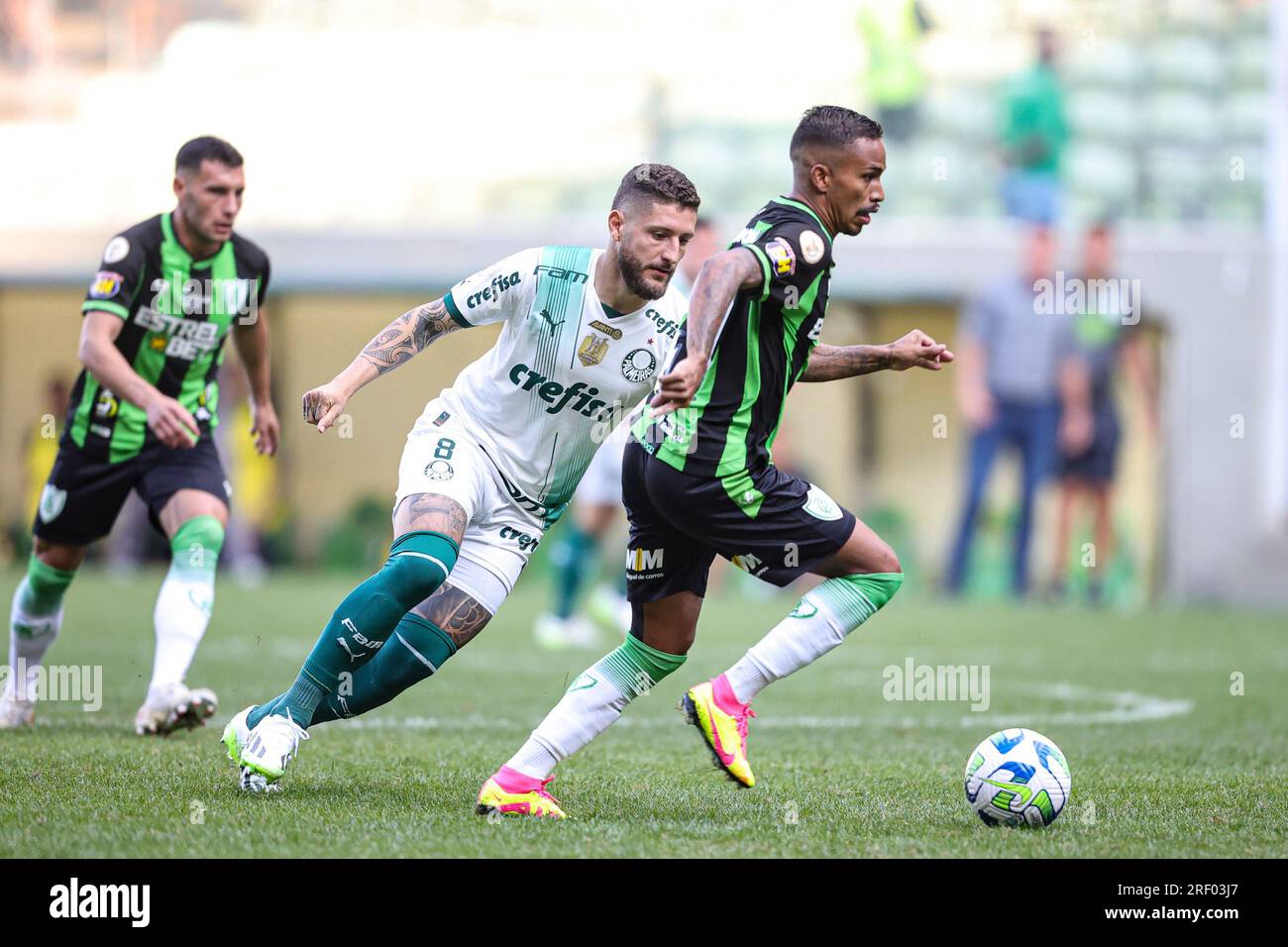 Palmeiras x América-MG: informações, estatísticas e curiosidades – Palmeiras