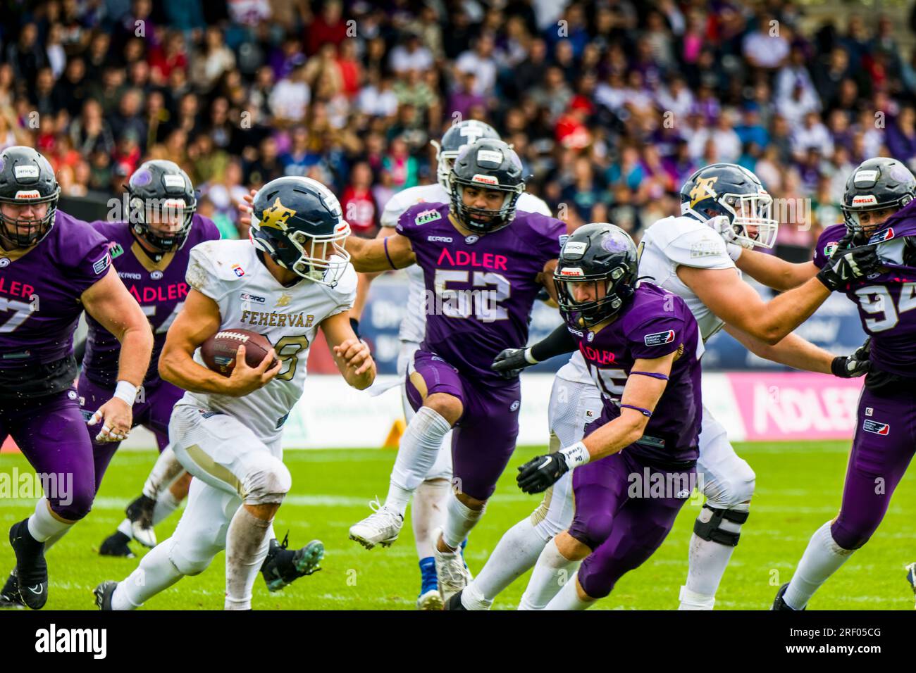 European League of Football, ELF/ Game Fehervar Enthroners at