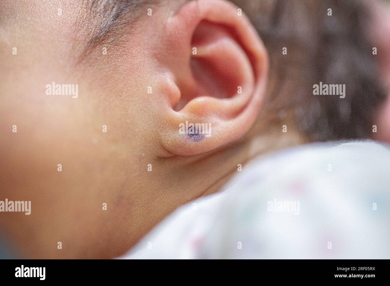 Piercing a newborn's ear to put an earring Stock Photo Alamy