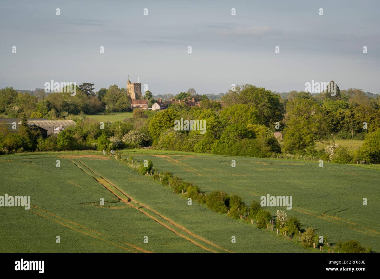 View of All Saints Church in the village of Staplehurst, Kent, UK Stock Photo