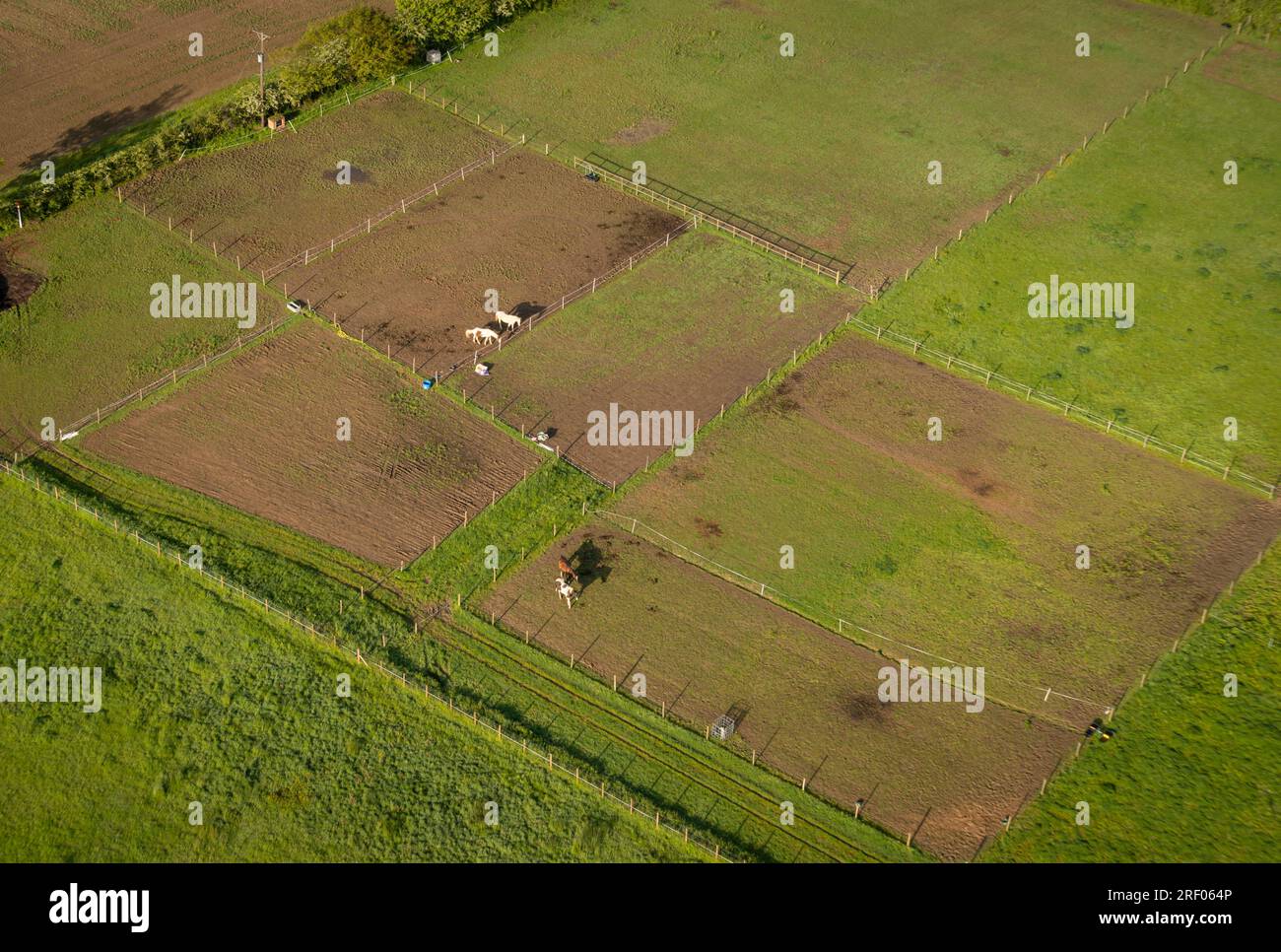 Aerial view of horse paddocks in the countryside in Kent, UK Stock