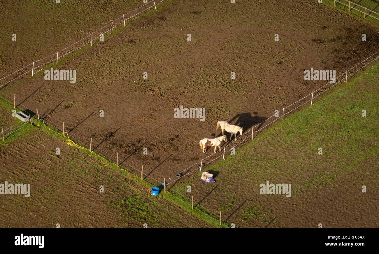 Aerial view of horse paddocks in the countryside in Kent, UK Stock