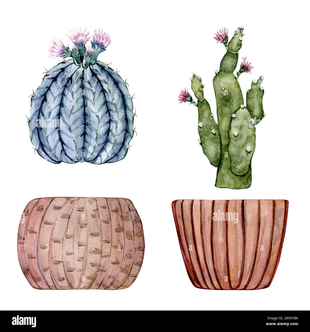 Set of clay pots and cute houseplants. Cactus and succulent. Watercolor ...