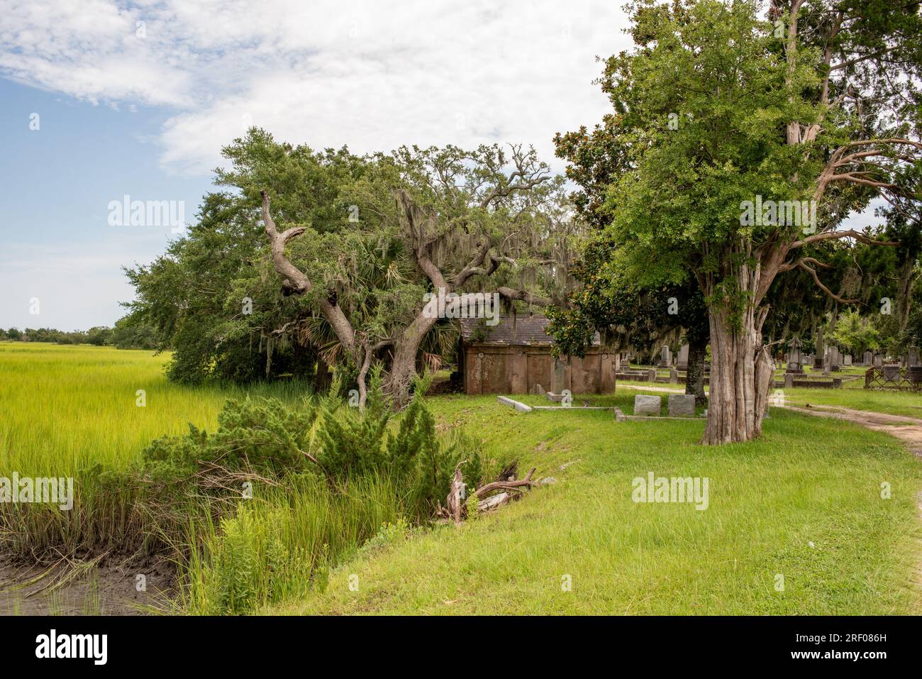 Historic Magnolia Cemetery, Charleston, SC Stock Photo - Alamy
