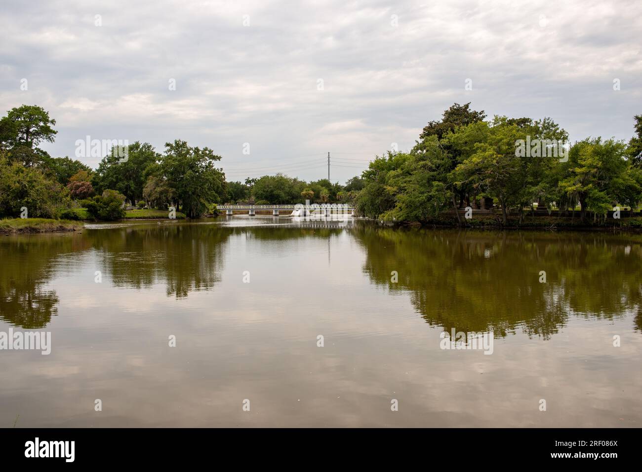 Historic Magnolia Cemetery, Charleston, SC Stock Photo Alamy