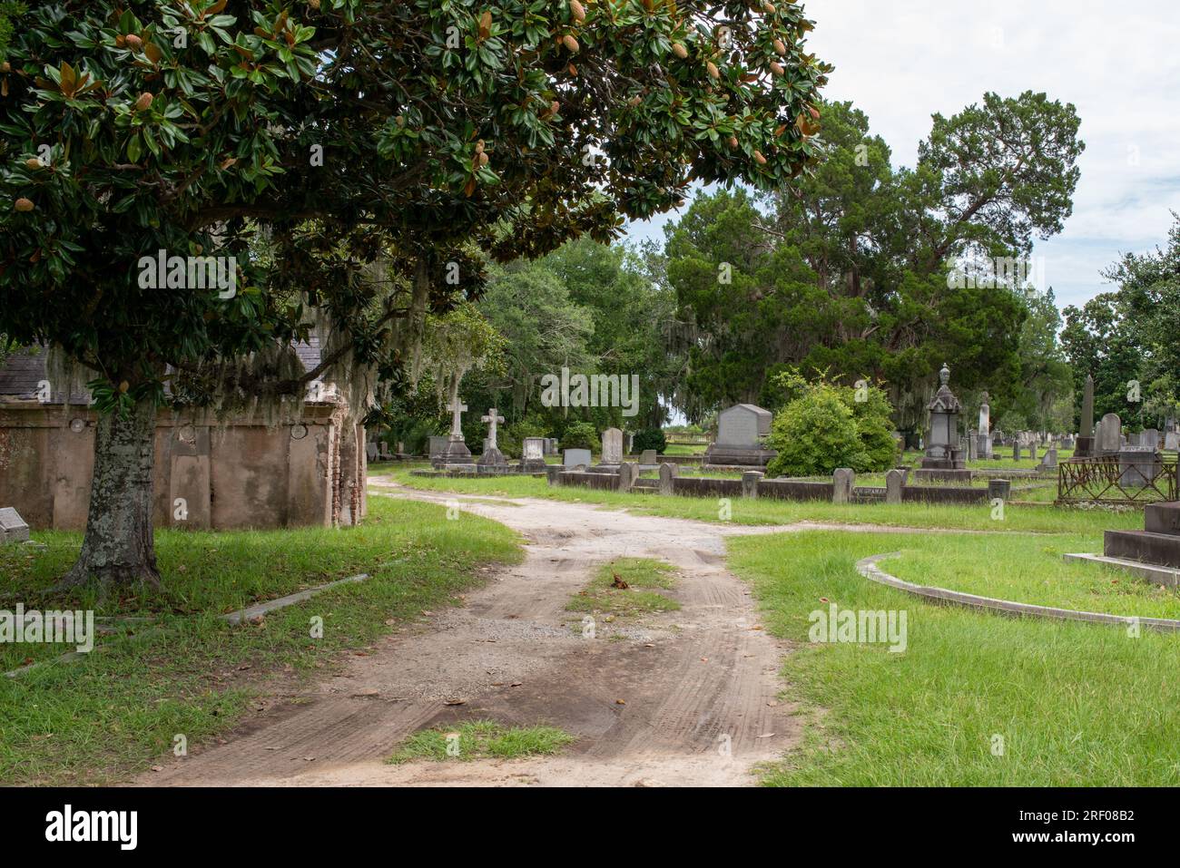 Historic Magnolia Cemetery, Charleston, SC Stock Photo Alamy