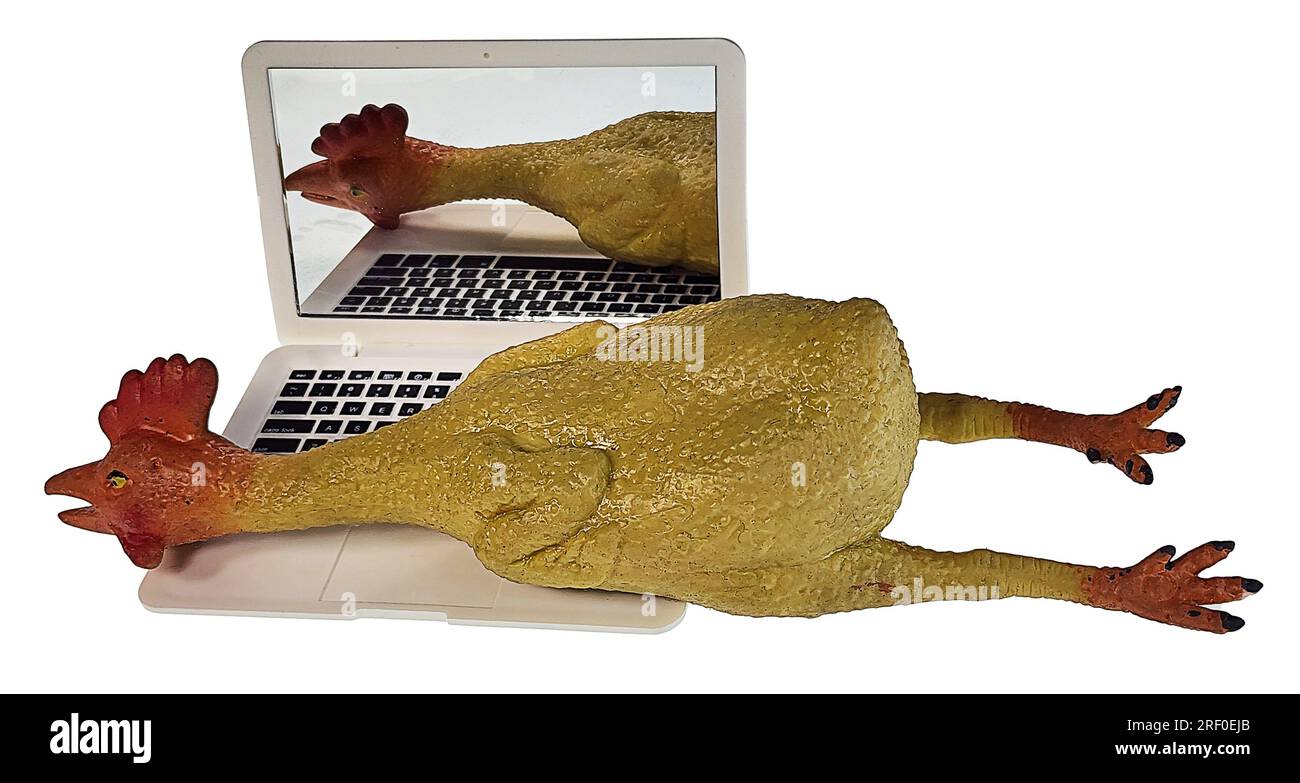 Rubber chicken on computer showing online jokes Stock Photo