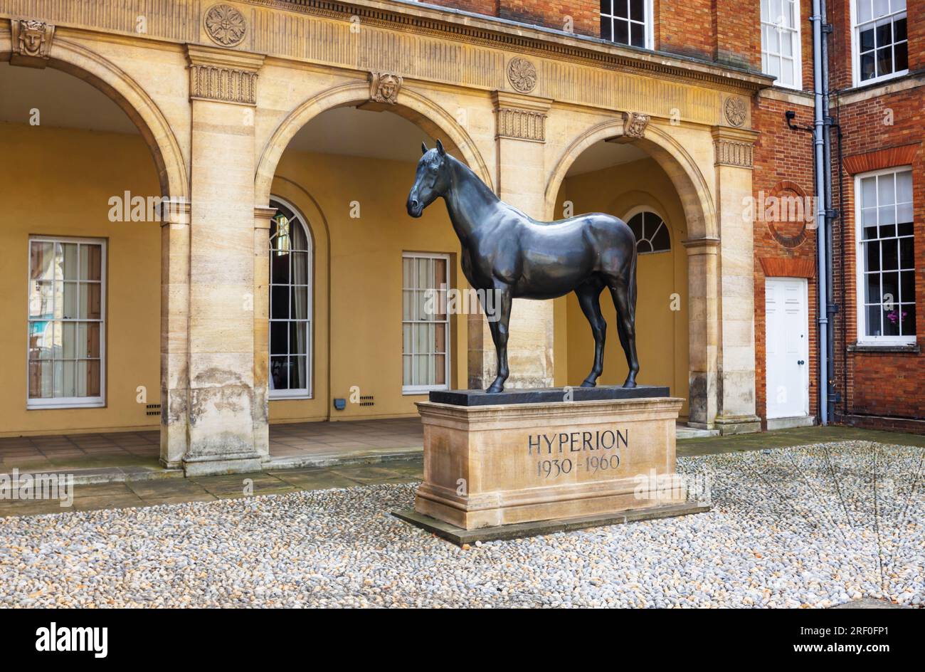 Statue of the racehorse Hyperion outside the Jockey Club Rooms, Newmarket, a market town in the West Suffolk district of Suffolk, east England Stock Photo