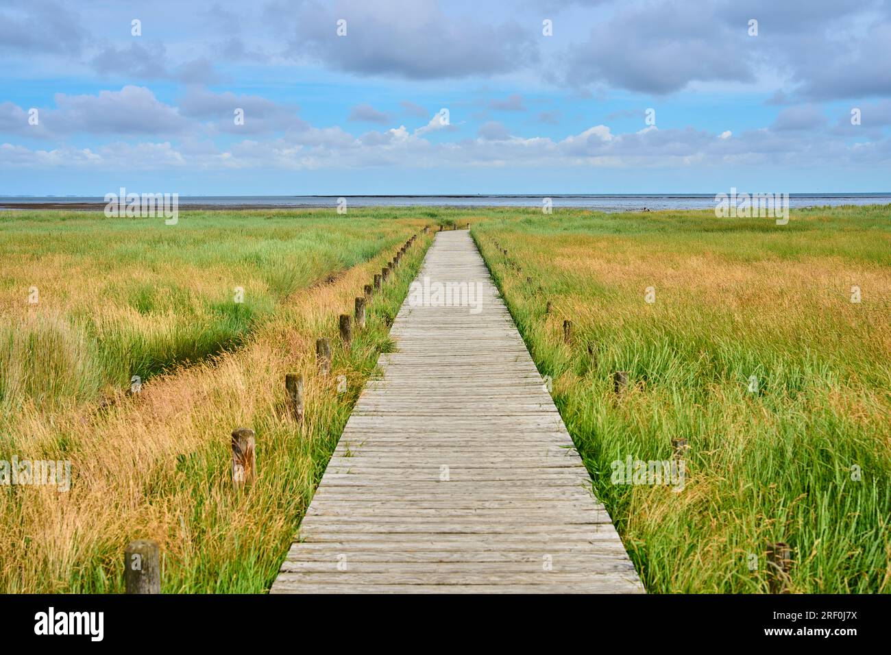 Watt beach with jetty  on June 28, 2023  in Kampen, Sylt Island, Germany.  © Peter Schatz / Alamy Stock Photos Stock Photo
