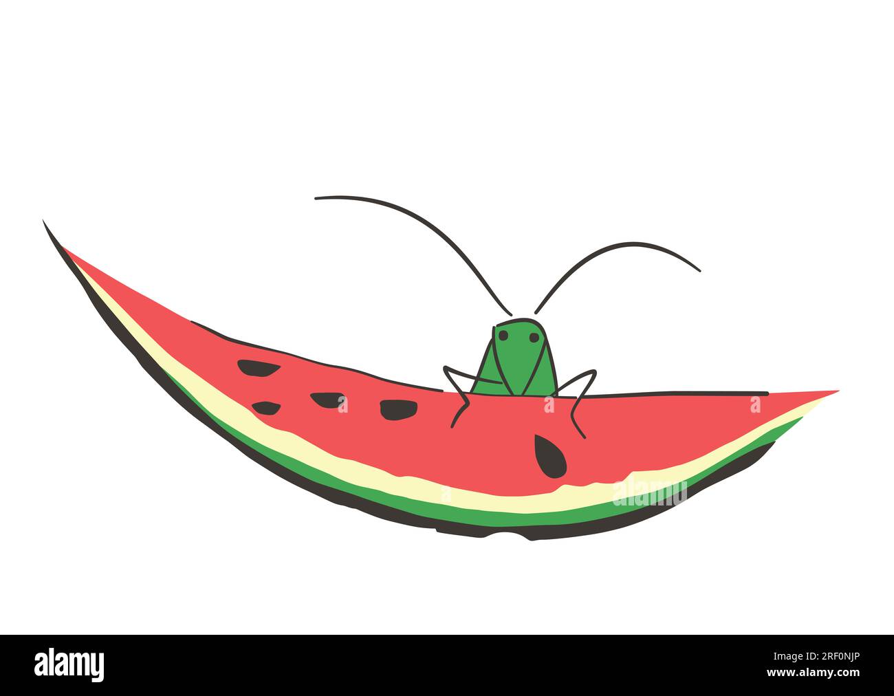 Grasshopper on a watermelon slice. After a painting in the Japanese illustrated book Choju ryakugashiki, published 1868, in the Meiji period. Stock Photo