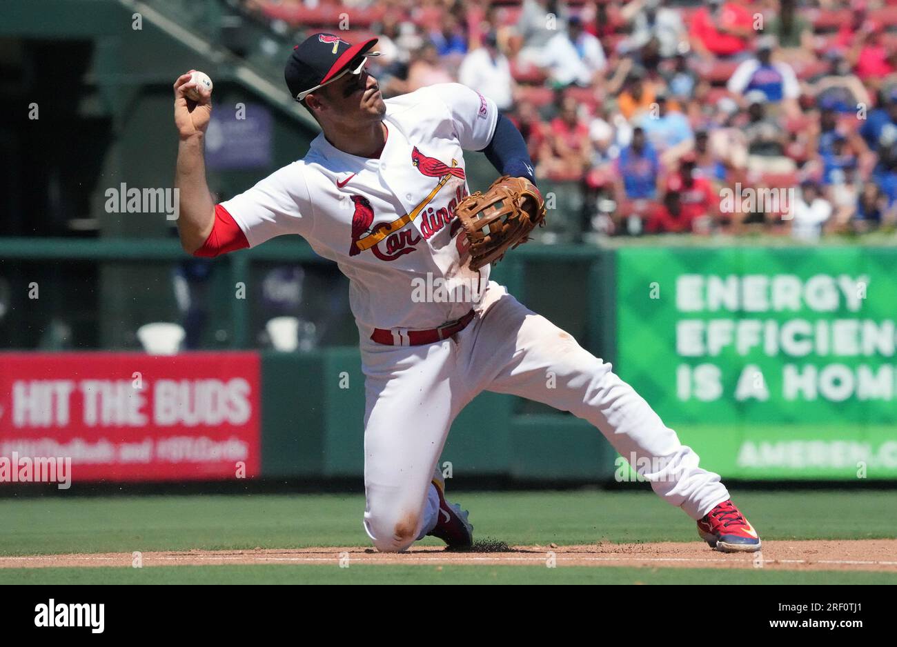 St. Louis, United States. 19th July, 2023. St. Louis Cardinals Paul  Goldschmidt tries to keep cool while sitting on the bench during the sixth  inning against the Miami Marlins at Busch Stadium