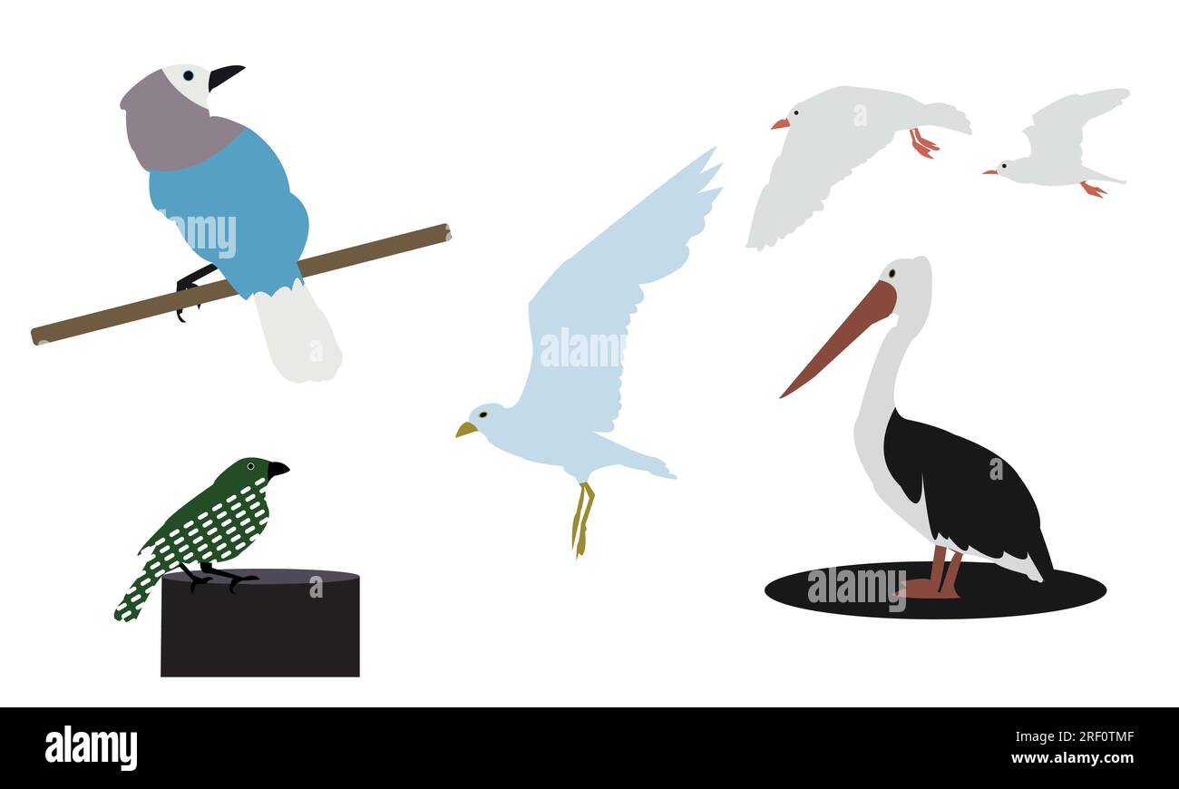 Flying Birds Vector Collection Stock Vector