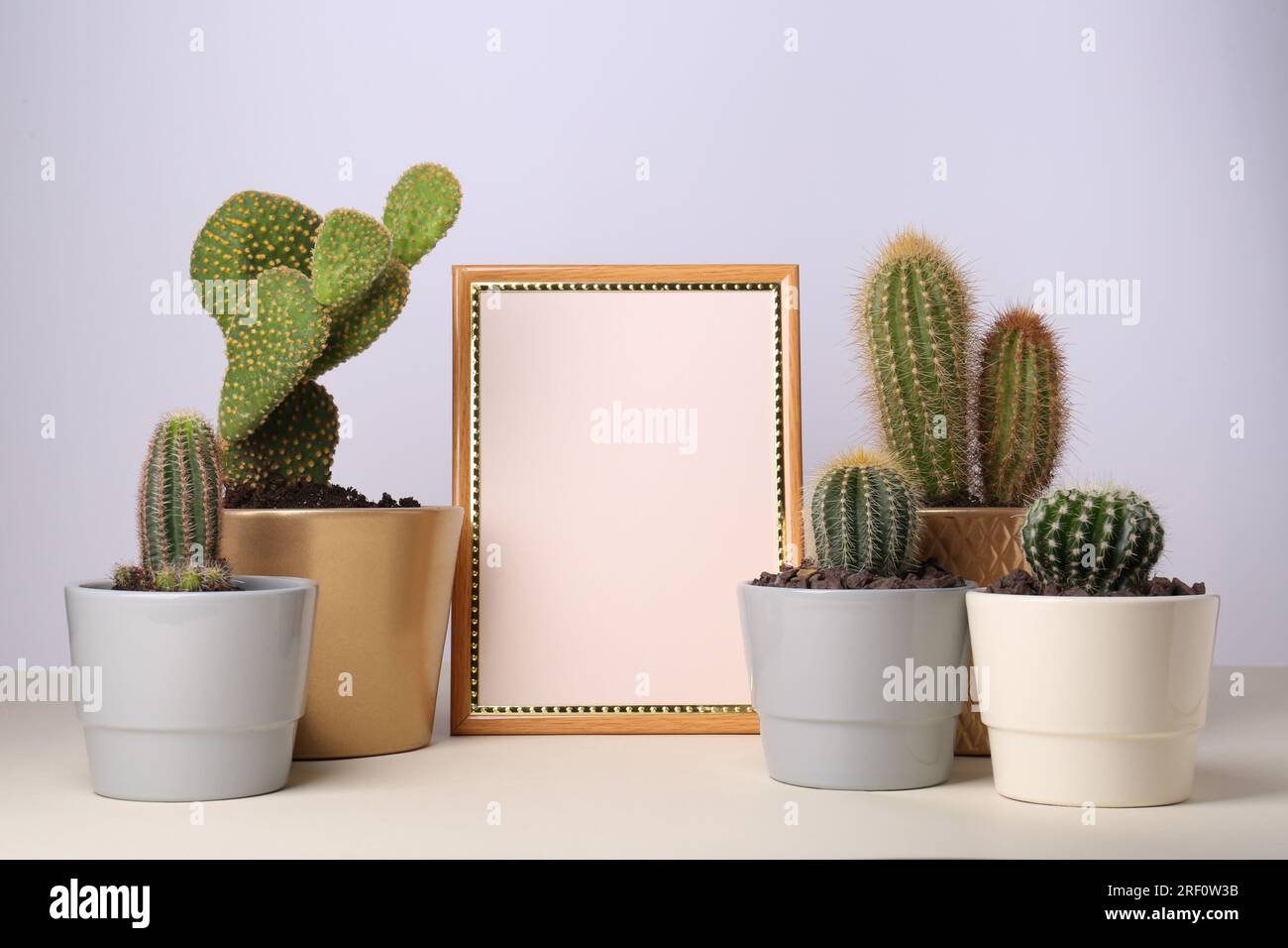 Different cacti in pots and empty frame on beige table Stock Photo - Alamy