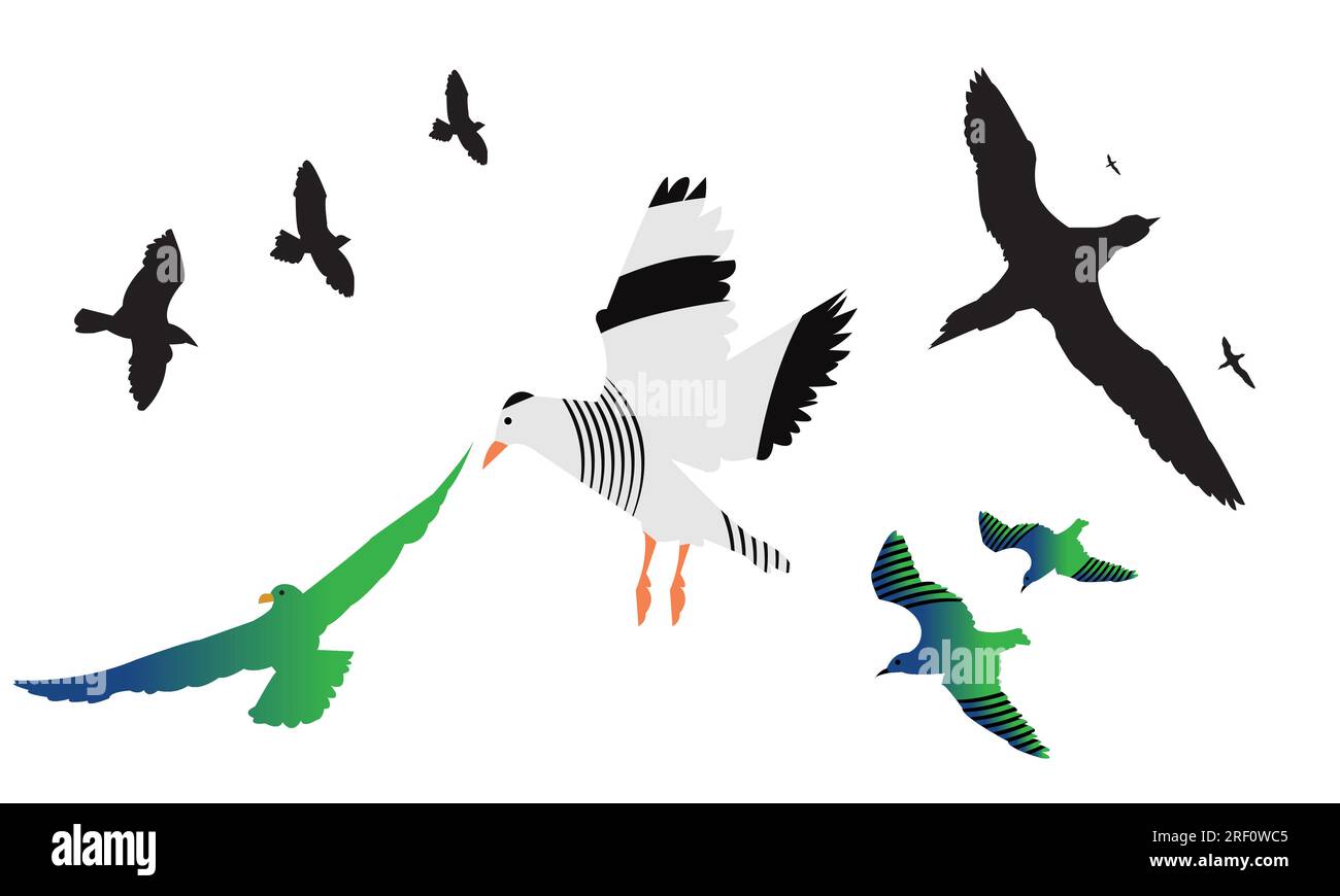 Flying Birds Vector Collection Stock Vector Image & Art - Alamy