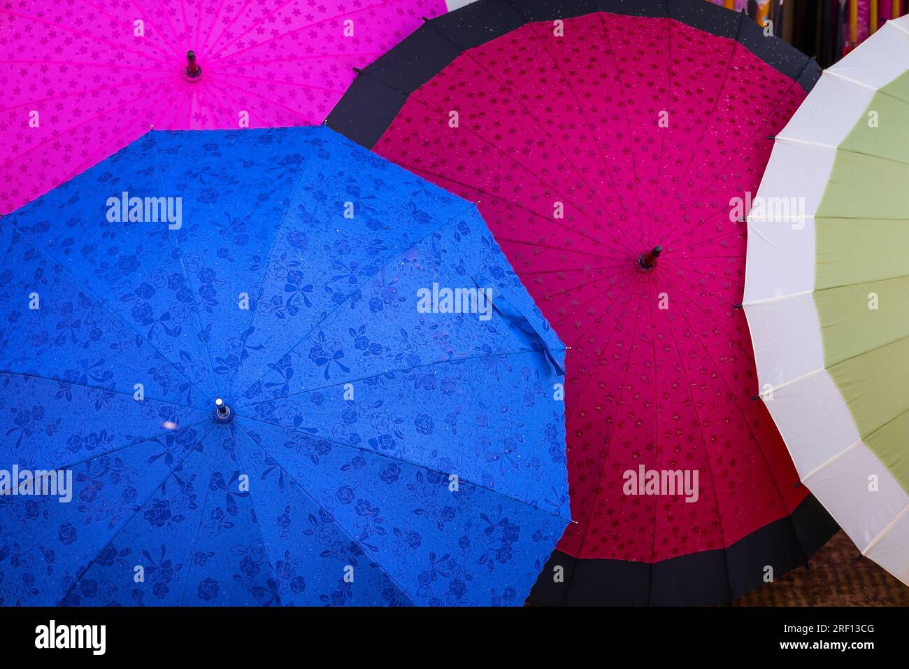 Modern Japanese Umbrellas in a Japanese Shop in Yufuin Hot Springs Town