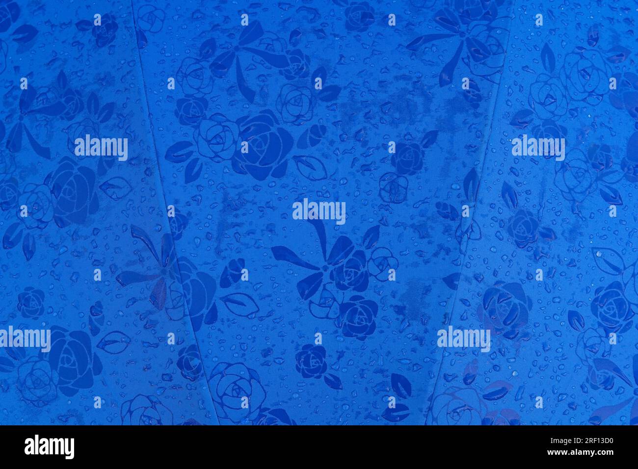 Modern Japanese Umbrellas in a Japanese Shop in Yufuin Hot Springs Town