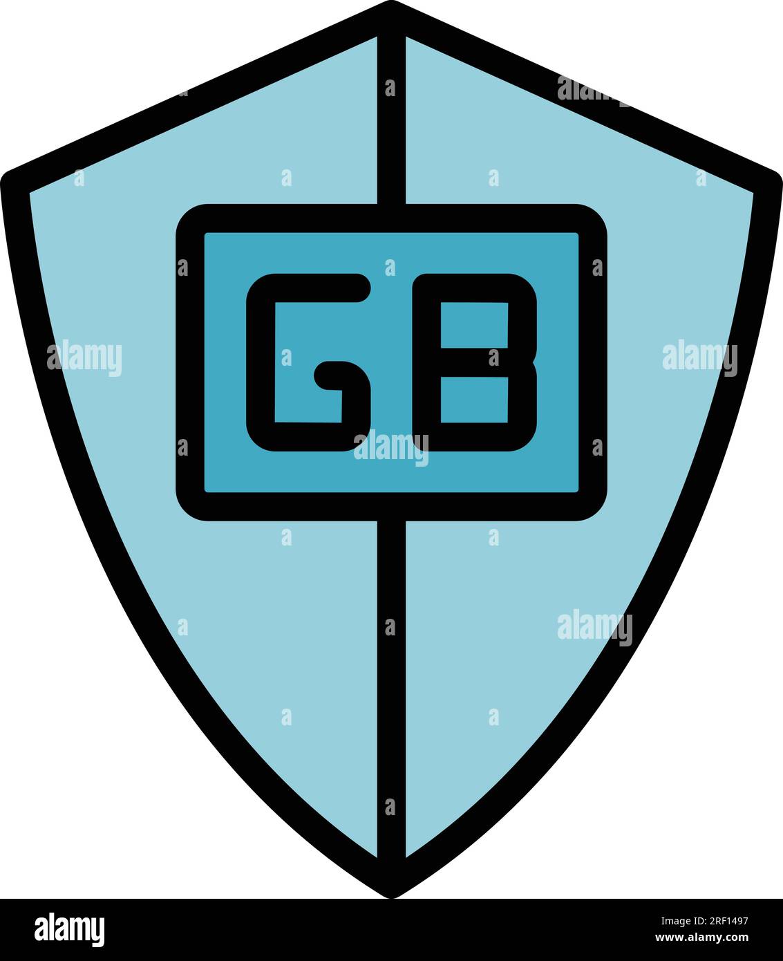 Secured ssd icon outline vector. Camera memory. Gb storage color flat Stock Vector