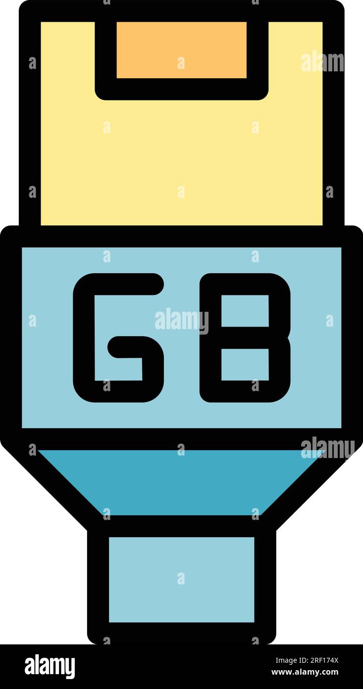 Portable flash icon outline vector. Data memory. Mobile gb color flat Stock Vector