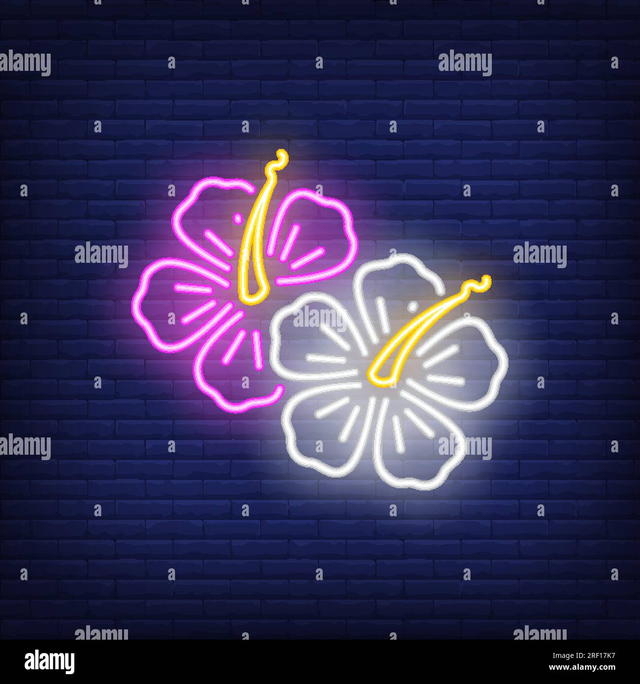 Hibiscus flowers neon sign Stock Vector Image & Art - Alamy