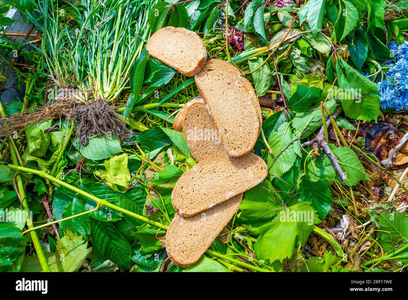Food waste on a compost heap, spoiled bread with mold Stock Photo Alamy