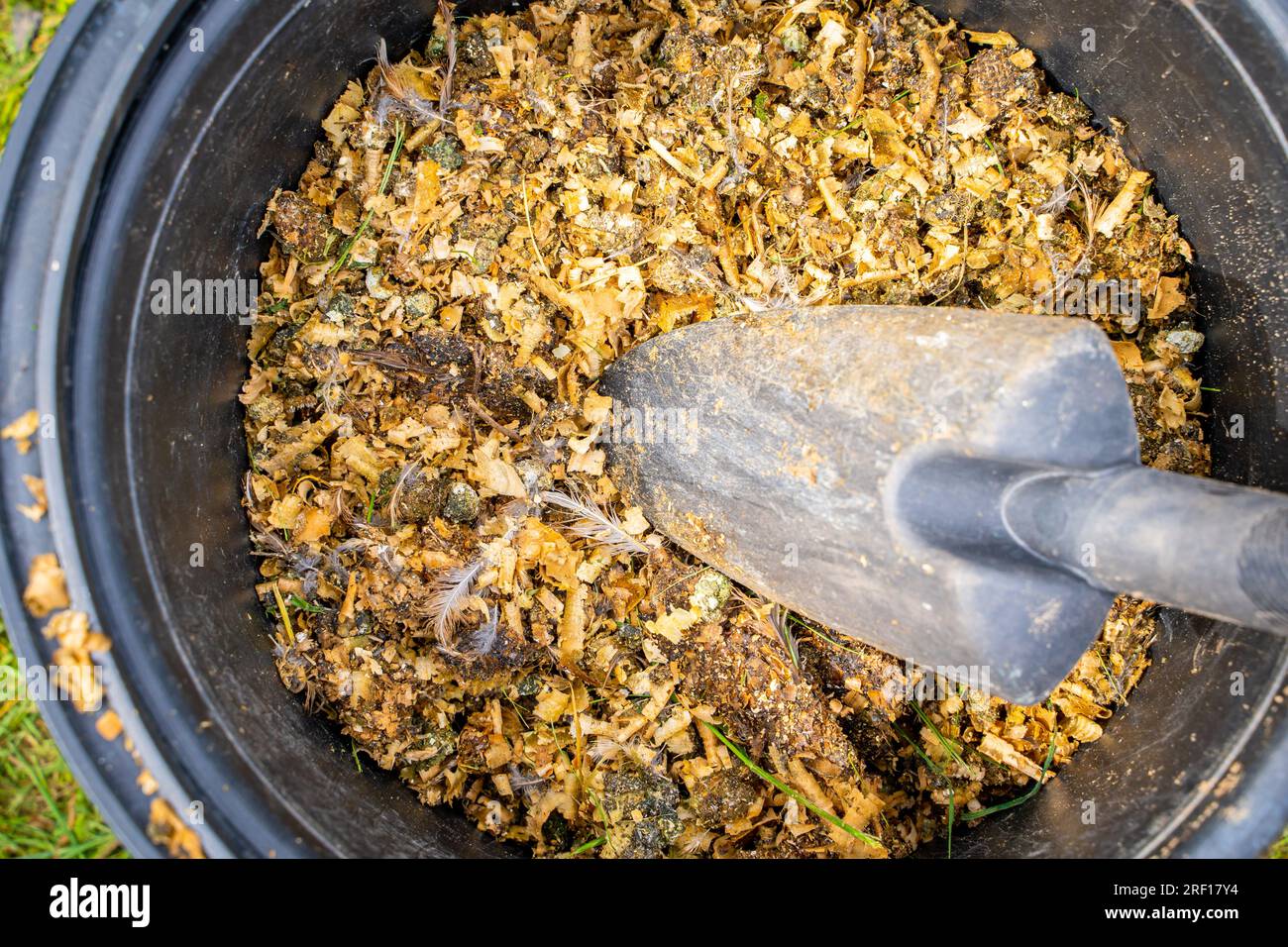 Plastic bucket with bird droppings mixed with sawdust closeup. Reuse