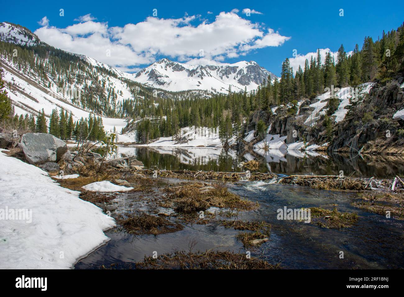 The pristine McGee Pass Trail in California unveils the enchanting beauty of a High Sierra spring, with melting snow feeding clear streams and reflect Stock Photo