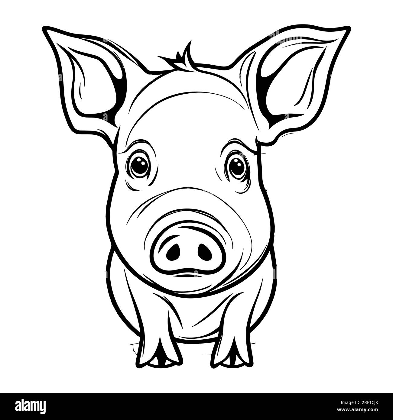 Show Pig Outline