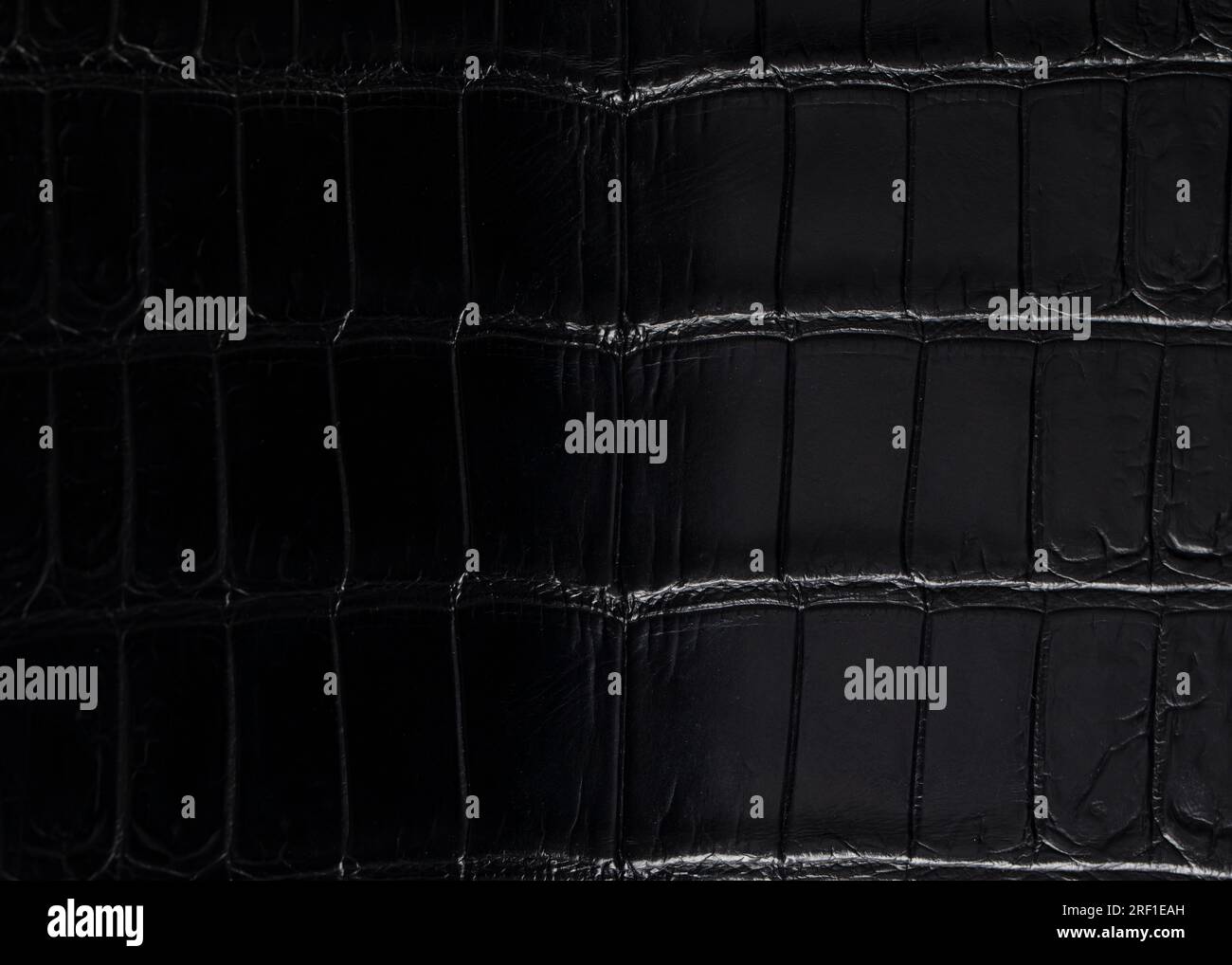 Black expensive crocodile skin in a gradient. Expensive product made of