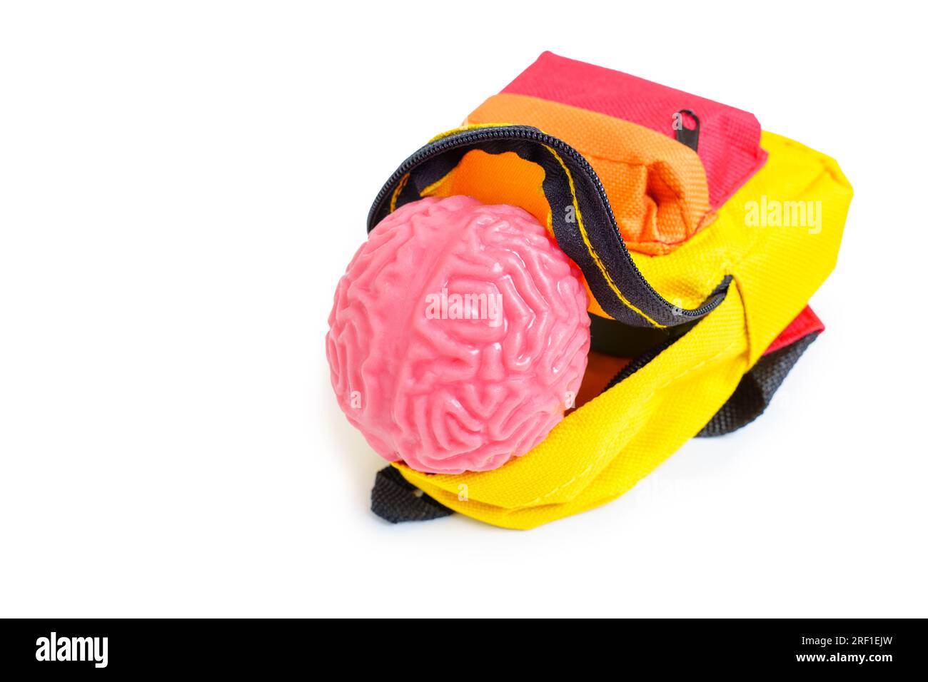 Pliable human brain model set inside a vibrant toy backpack isolated on