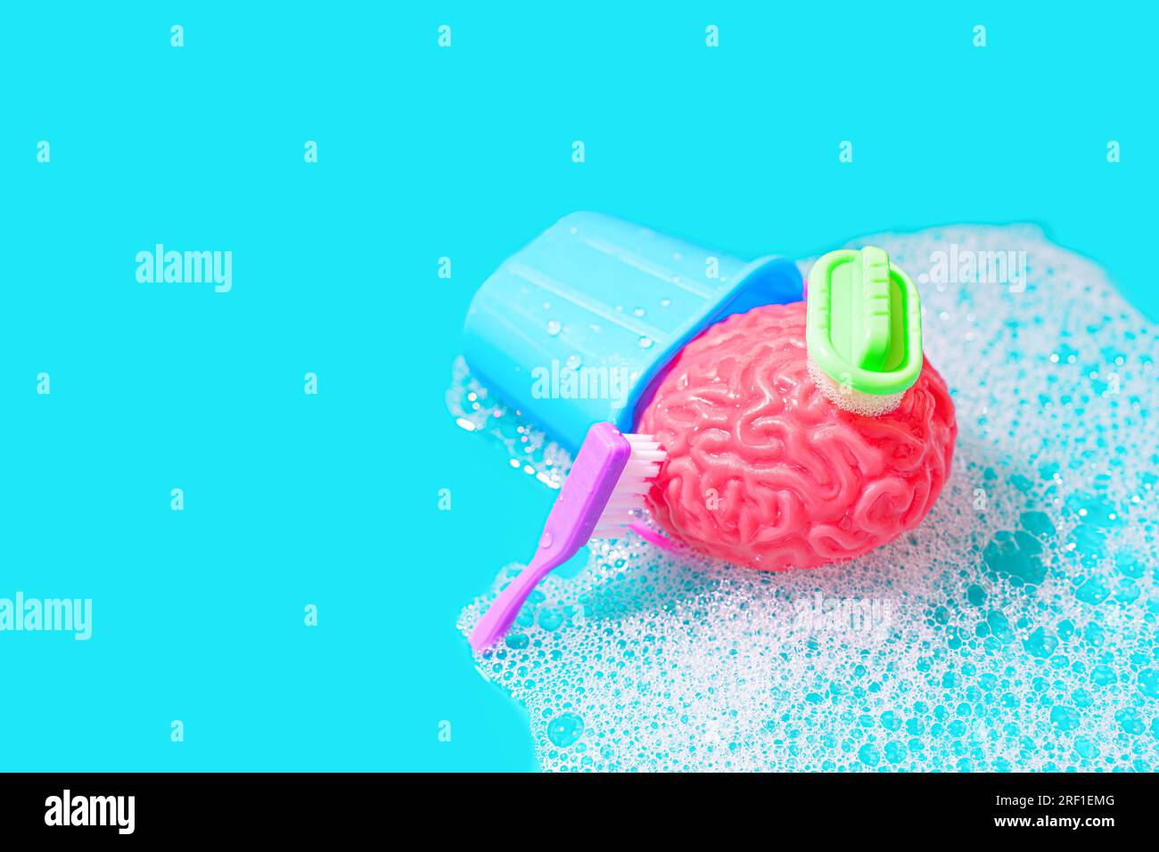 Human brain model, by a toy water bucket, sponge, brush