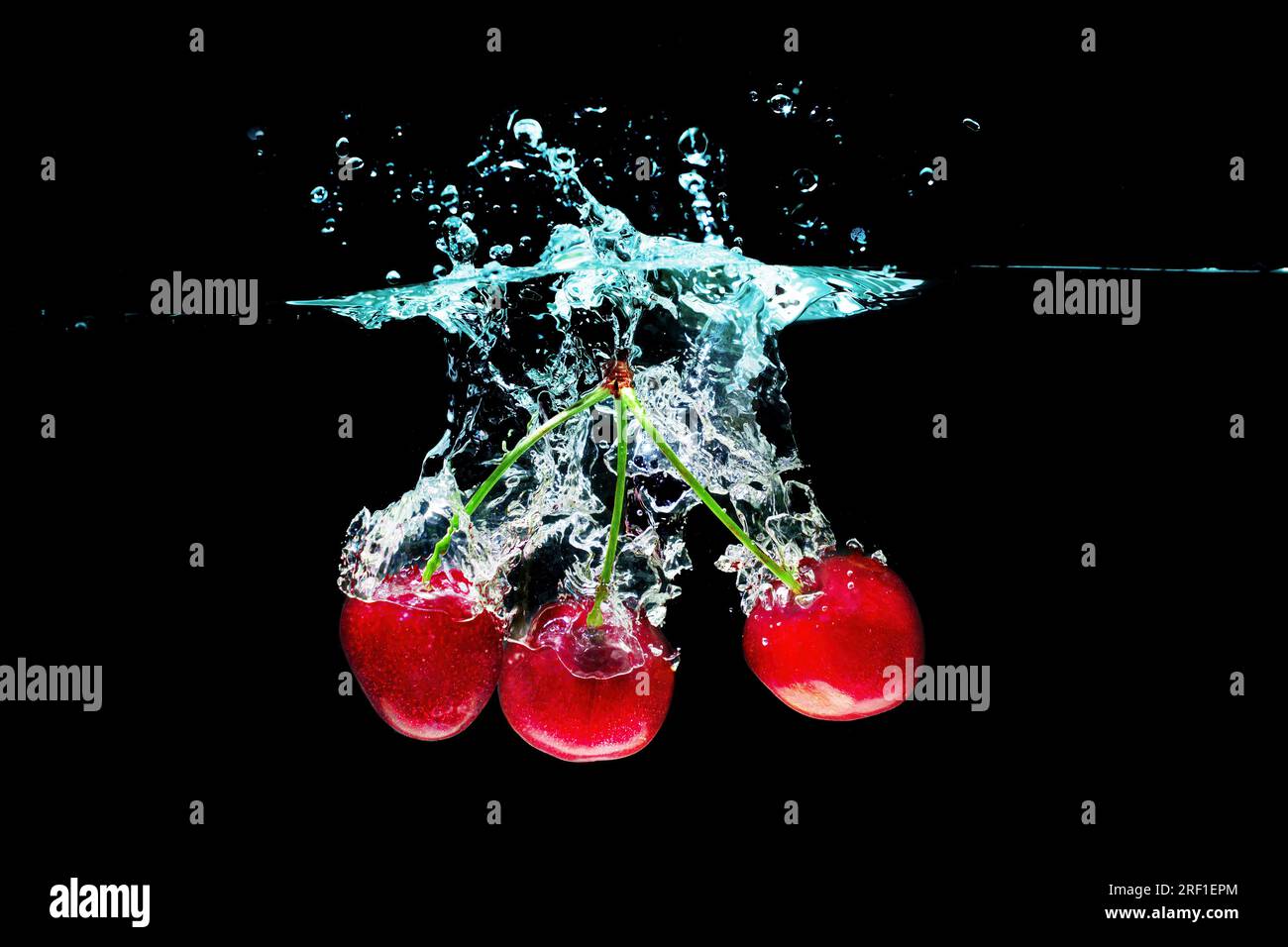 Close-up of three juicy sweet cherries dropped underwater with splashes isolated on black background. Stock Photo