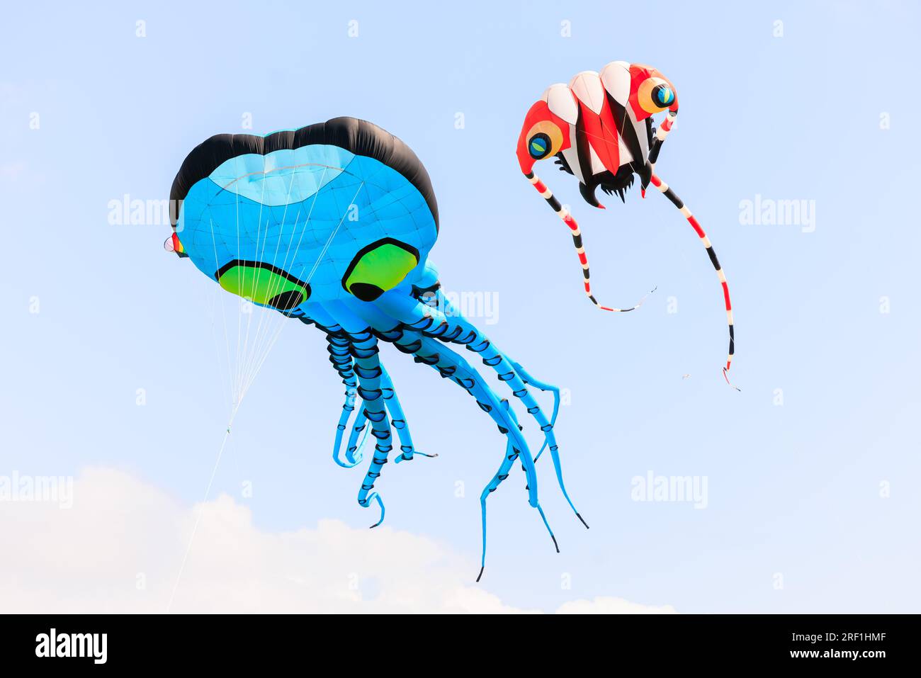 A collection of hundreds of stunning 3D kites graced the skyline of