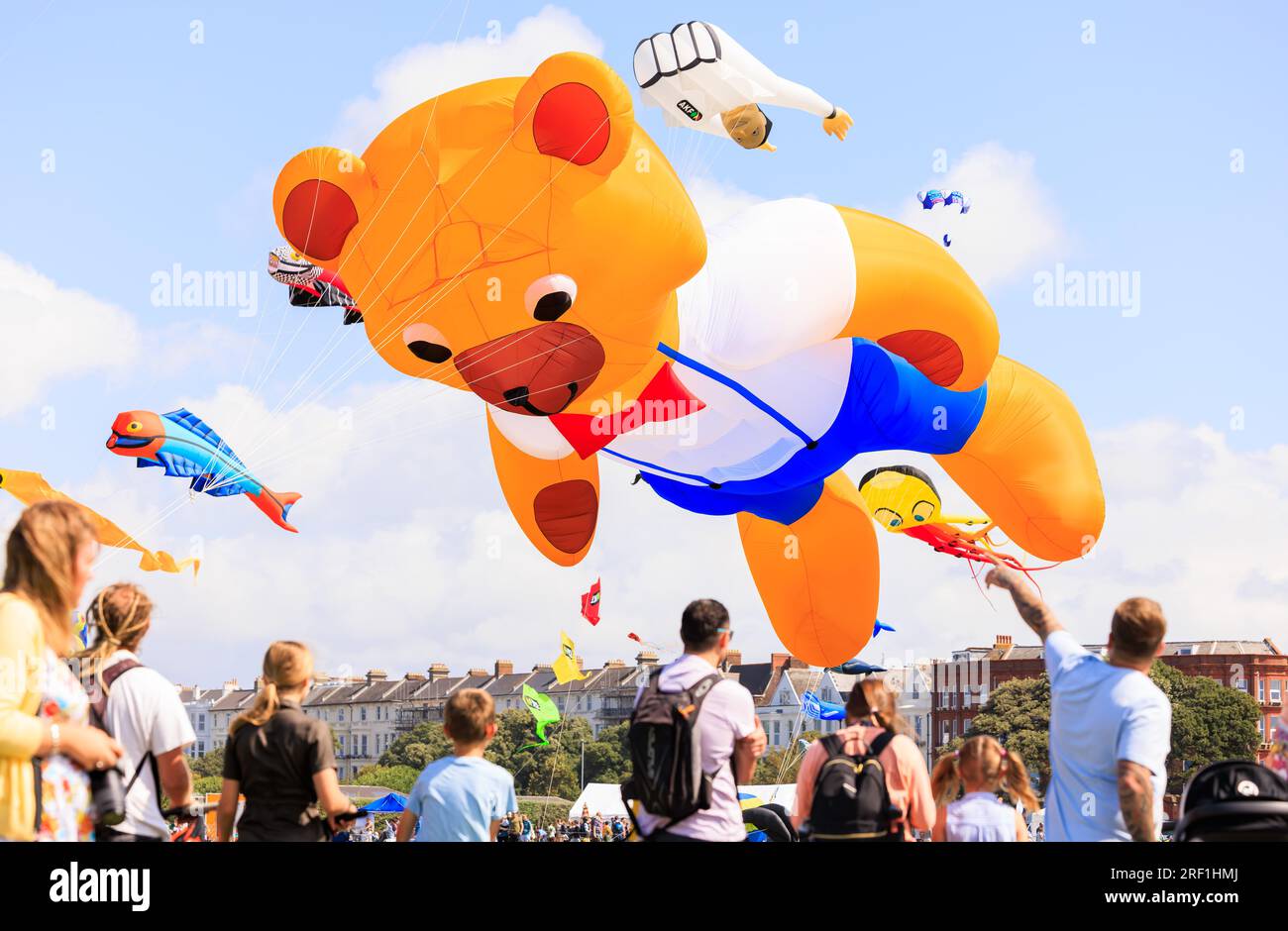 A collection of hundreds of stunning 3D kites graced the skyline of